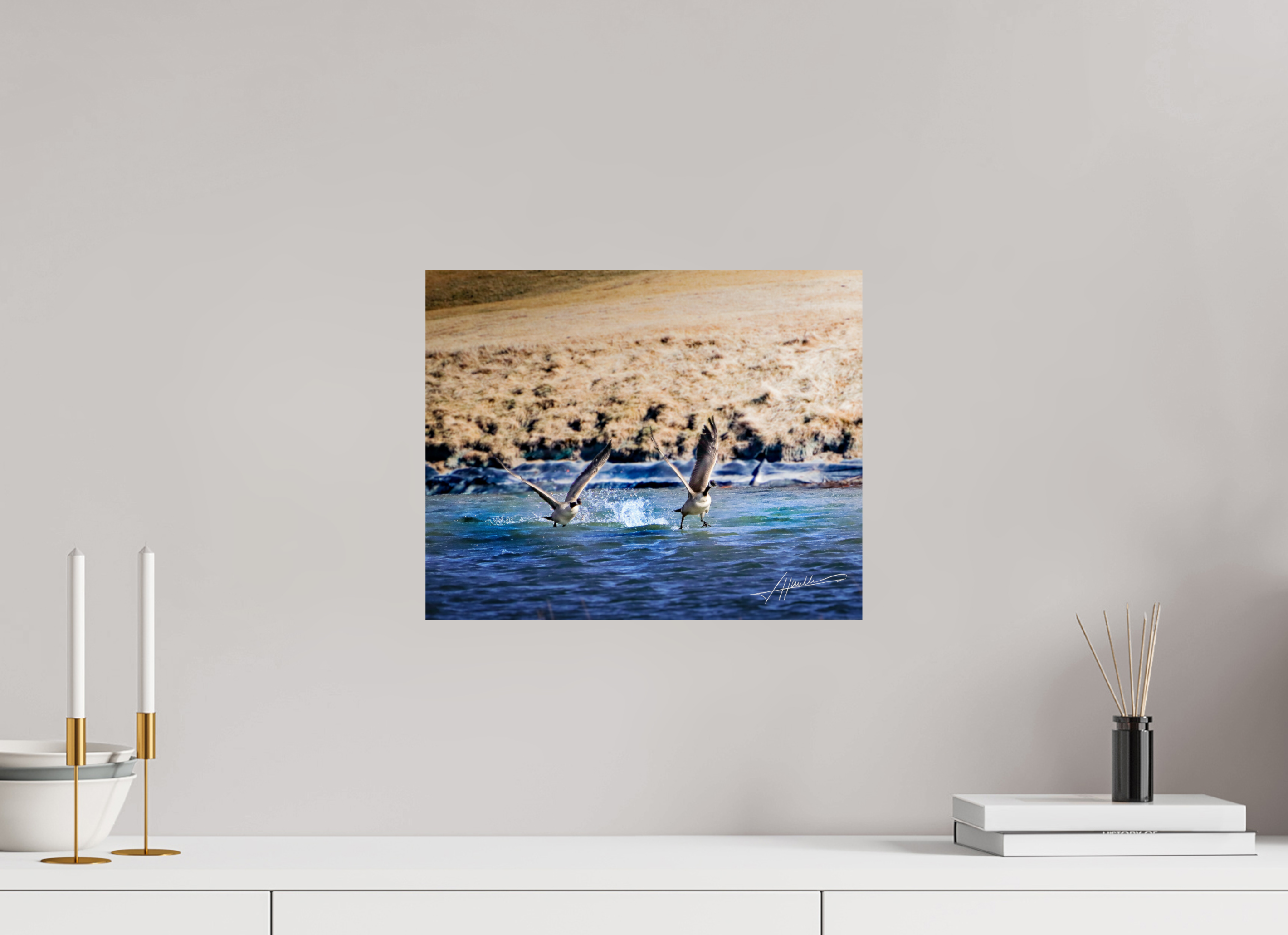 15 x 12″, Fine Art Dibond Geese Taking Flight
