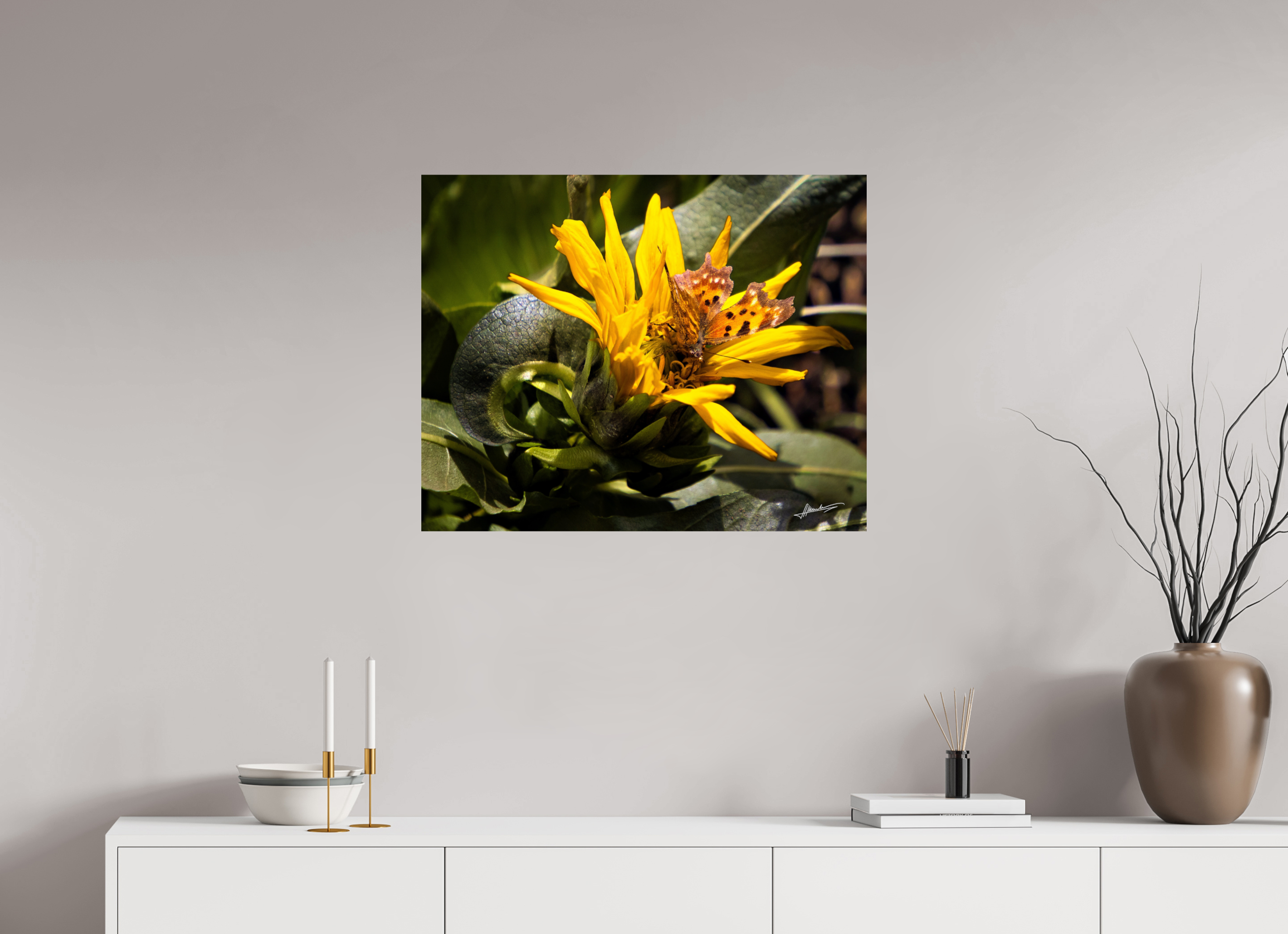 30 x 24″, Fine Art Dibond Busy Butterfly