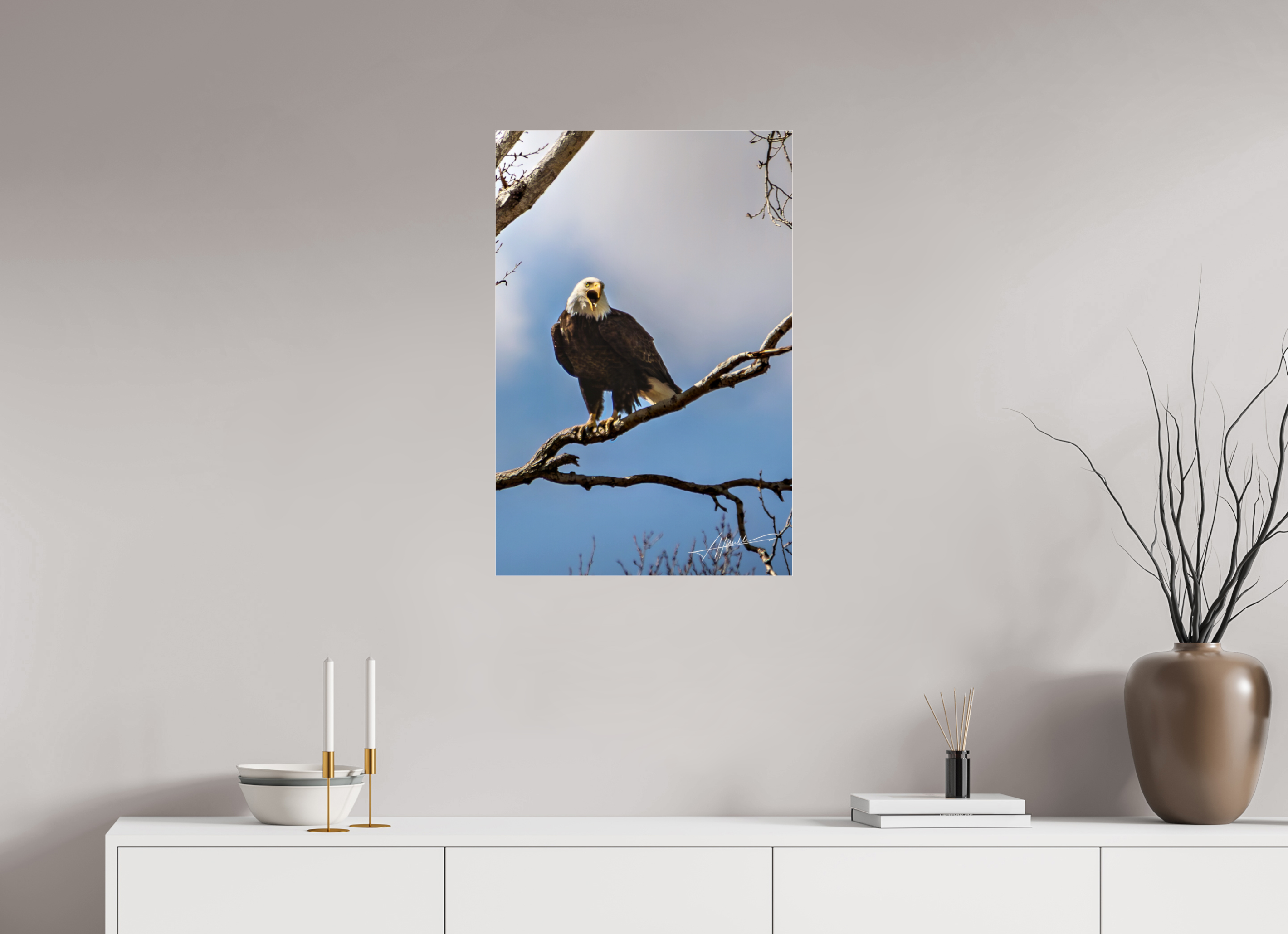 20 x 30″, Photo Print Under Acrylic Glass The Eagle's Call