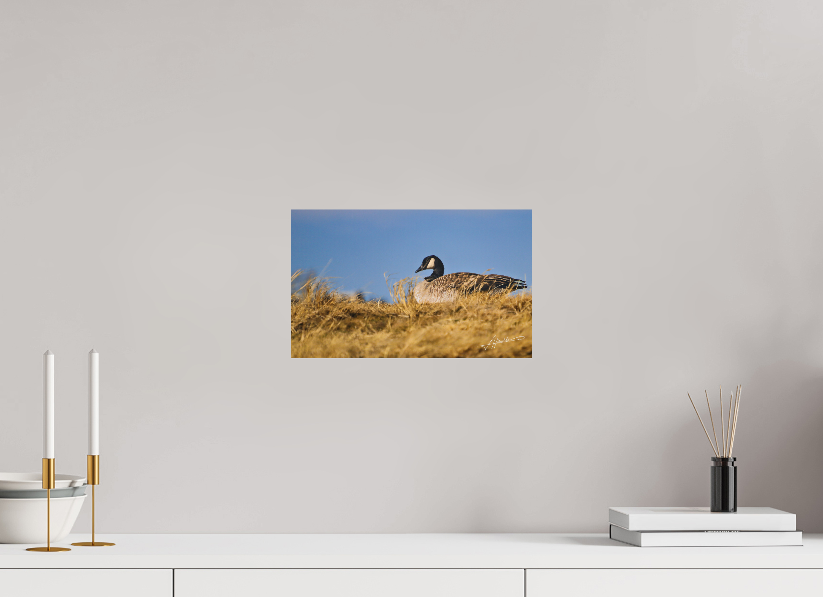 13 x 8″, Metal Dibond The Nesting Goose