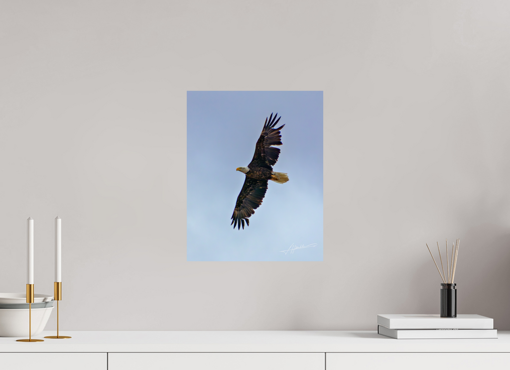 12 x 15″, Fine Art Print Wings Spread