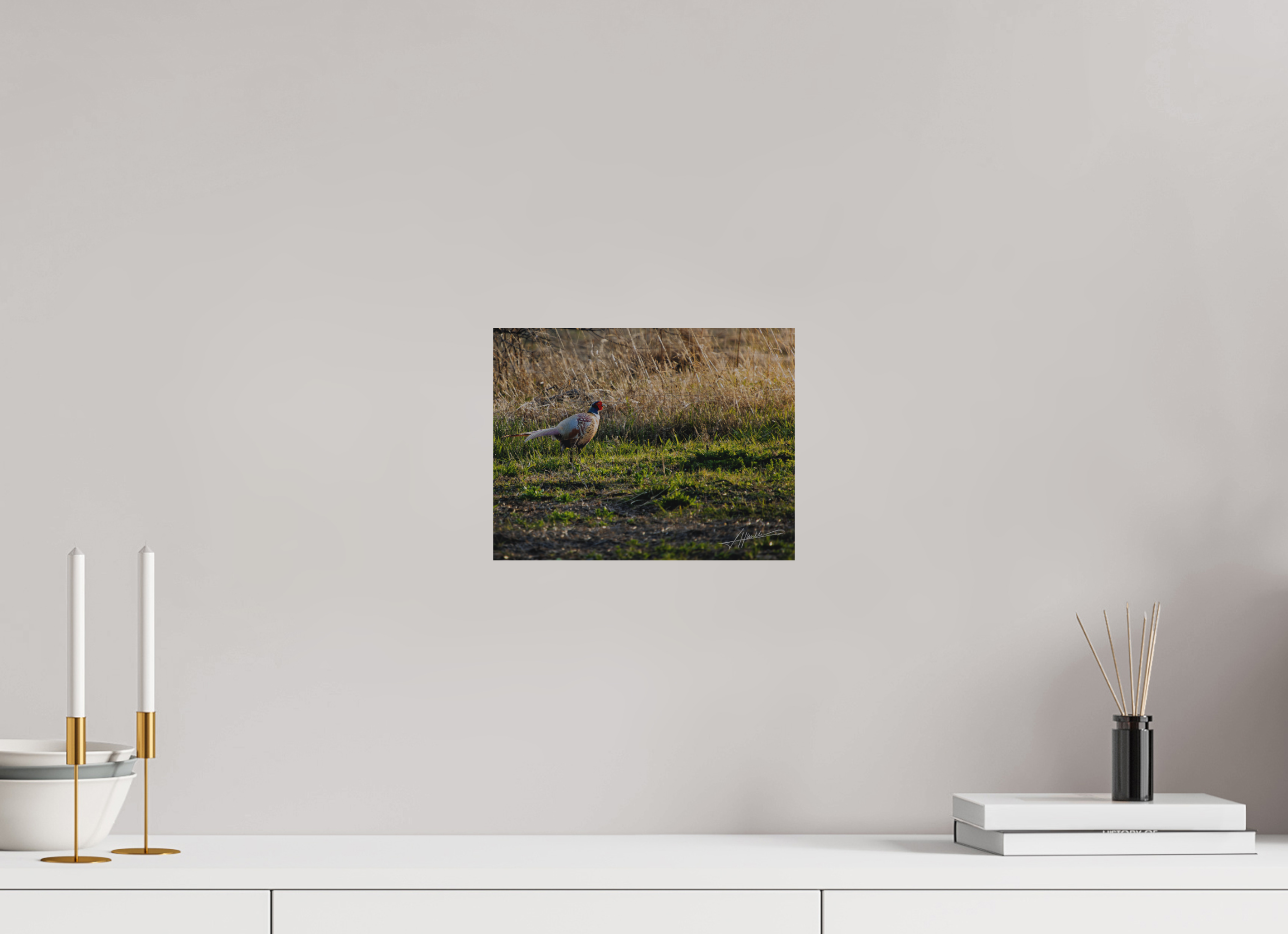 10.4 x 8″, Direct Brushed Aluminum Evening Pheasant