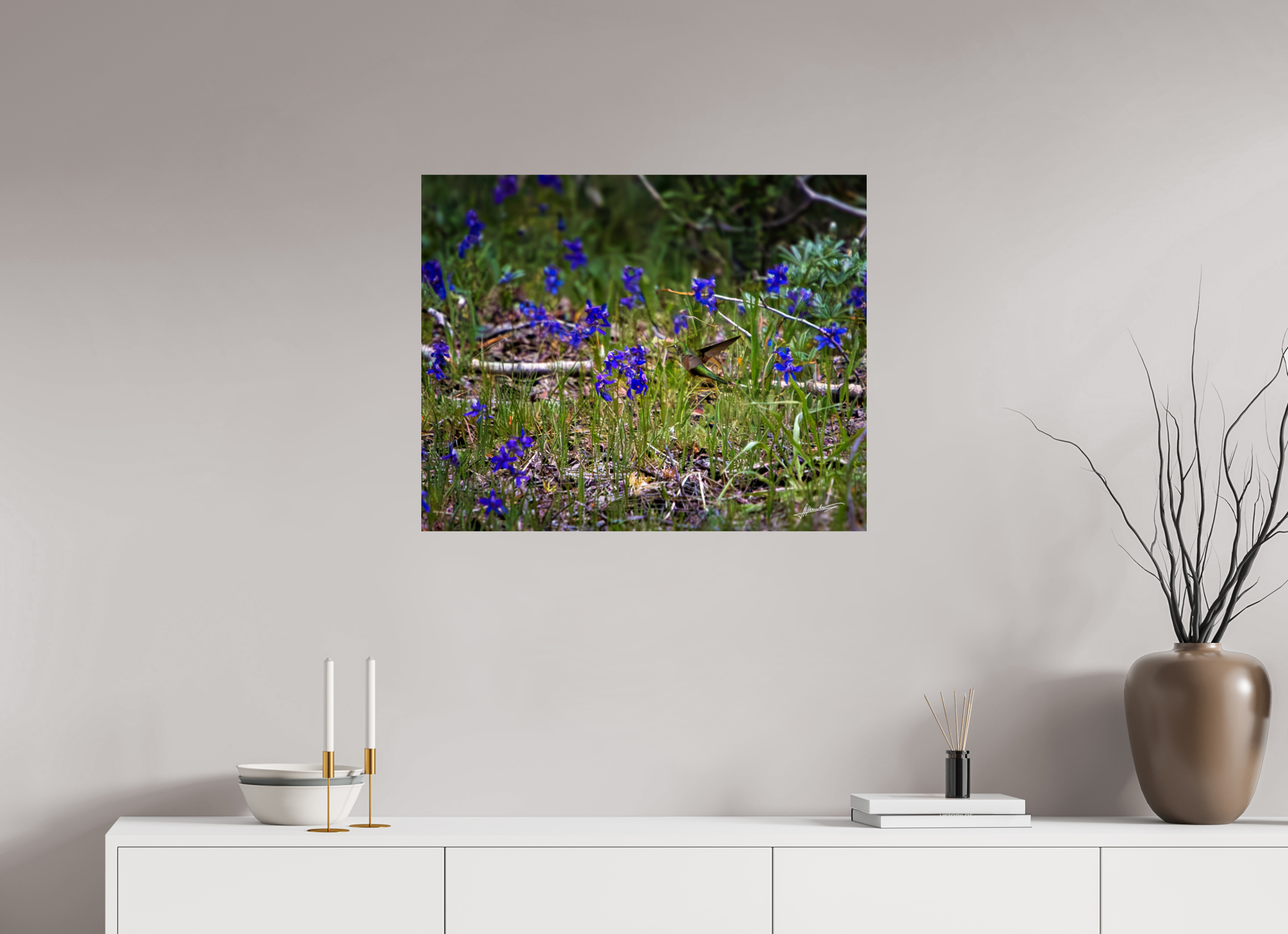 30 x 24″, Fine Art Dibond Feeding Hummingbird