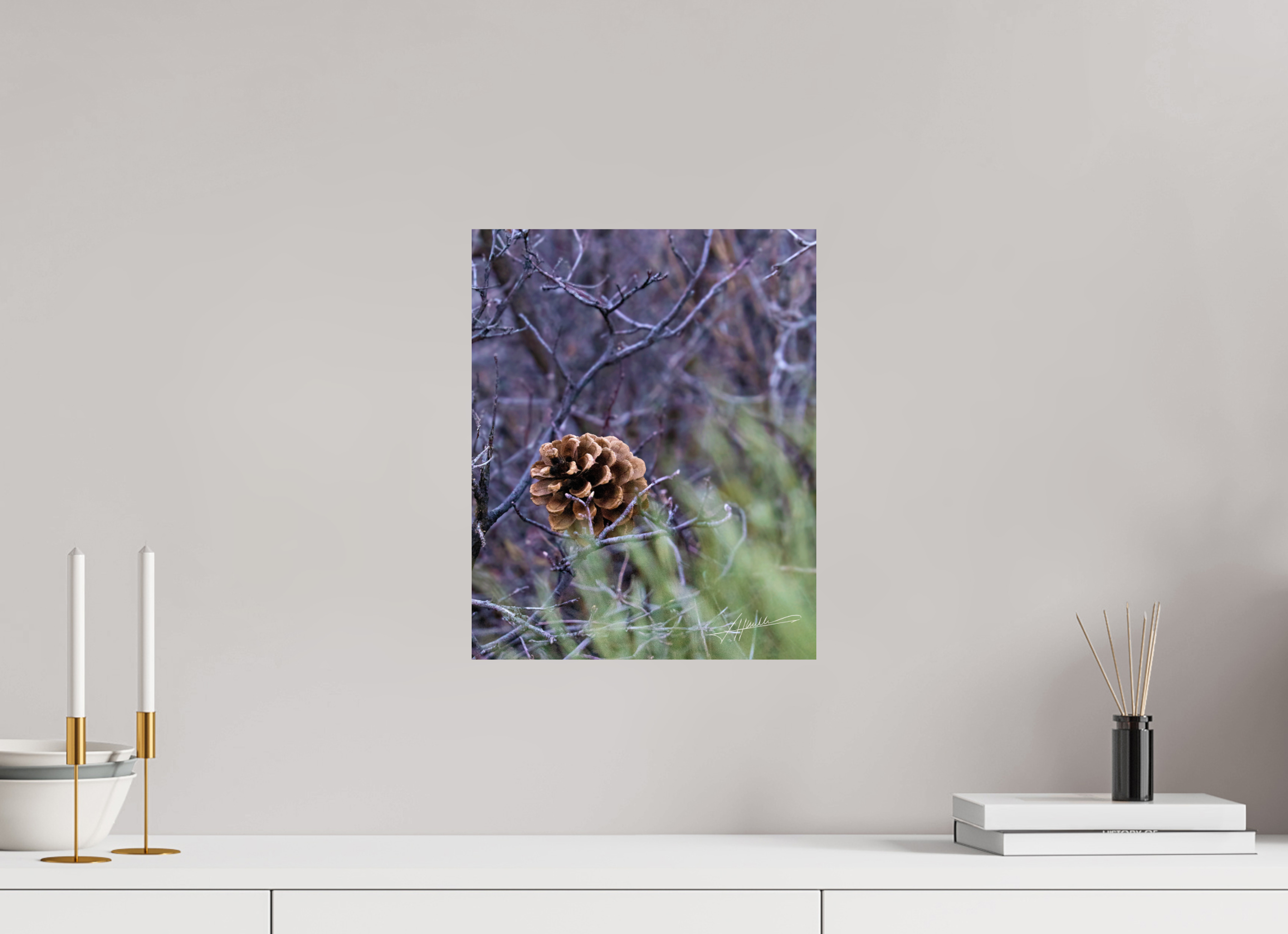 12 x 15″, Metallic Photo Print On Fuji Crystal Pearl Mountain Pinecone
