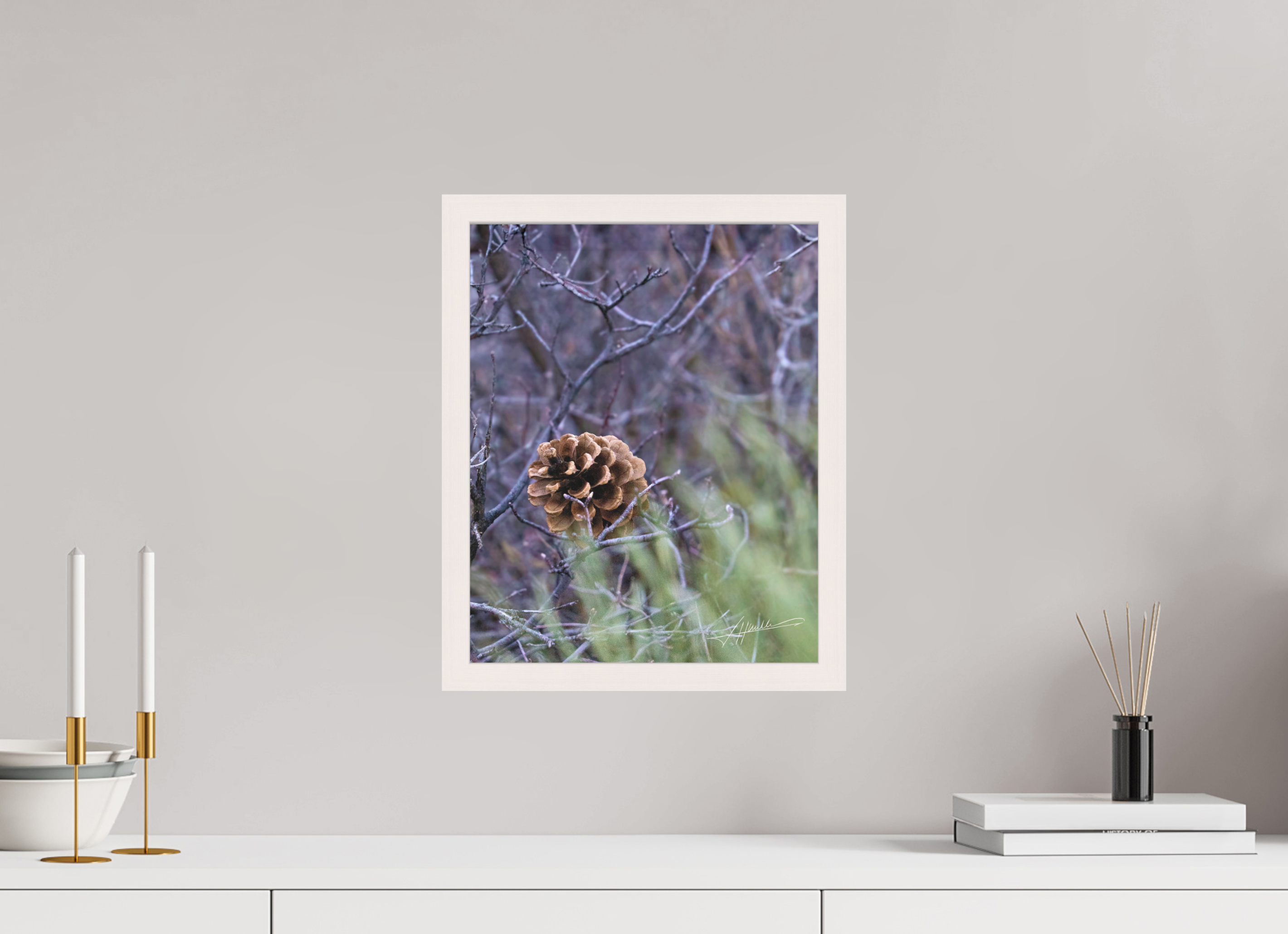 12 x 15″, Shadow Box Frame Mountain Pinecone