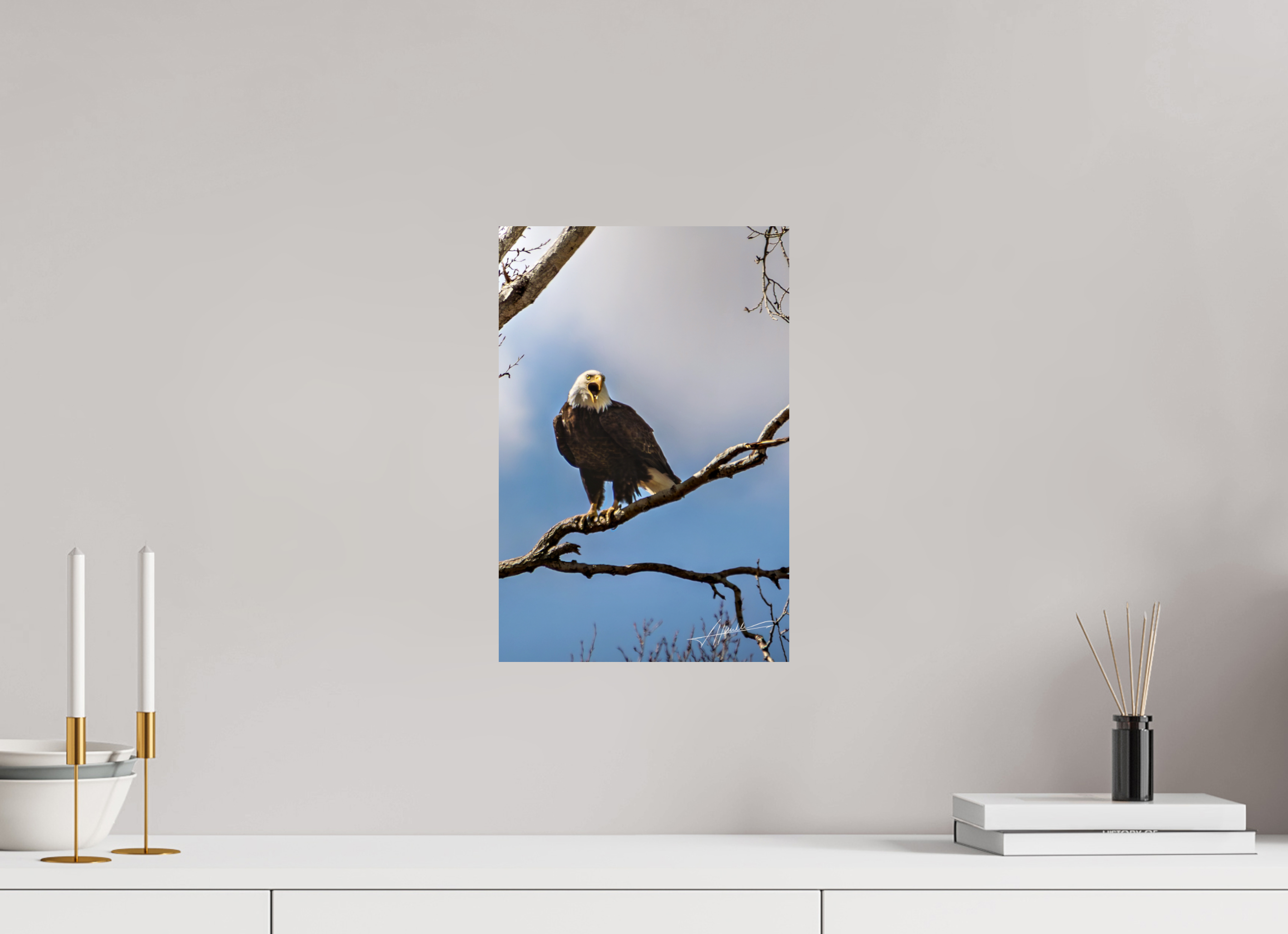10 x 15″, ChromaLuxe HD Metal The Eagle's Call