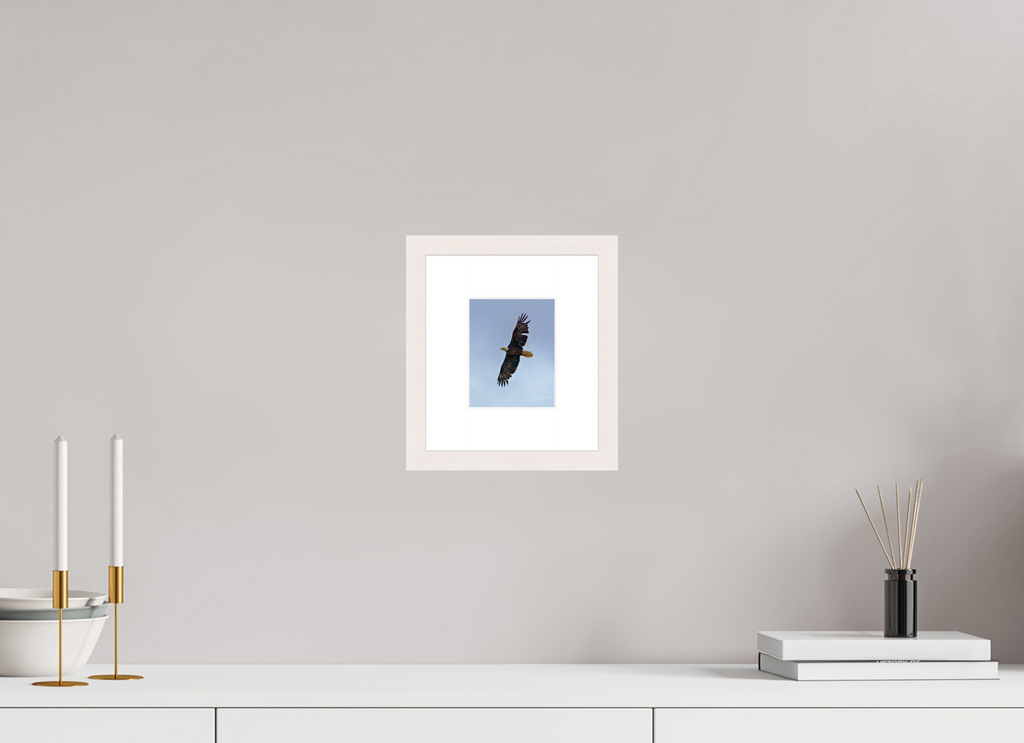 4 x 5″, Solid Wood Frame with Passe-partout Wings Spread