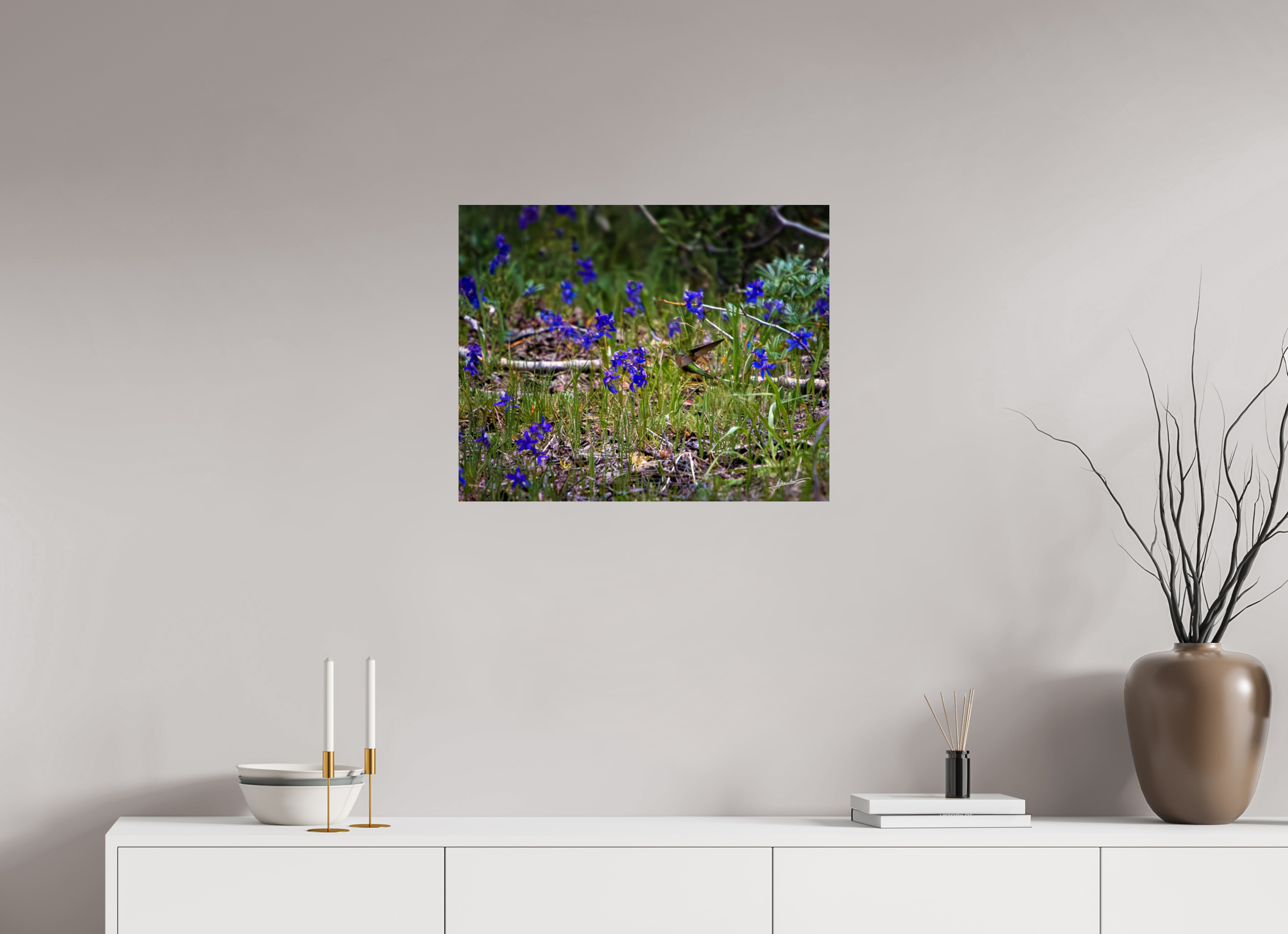 25 x 20″, ChromaLuxe HD Metal Feeding Hummingbird
