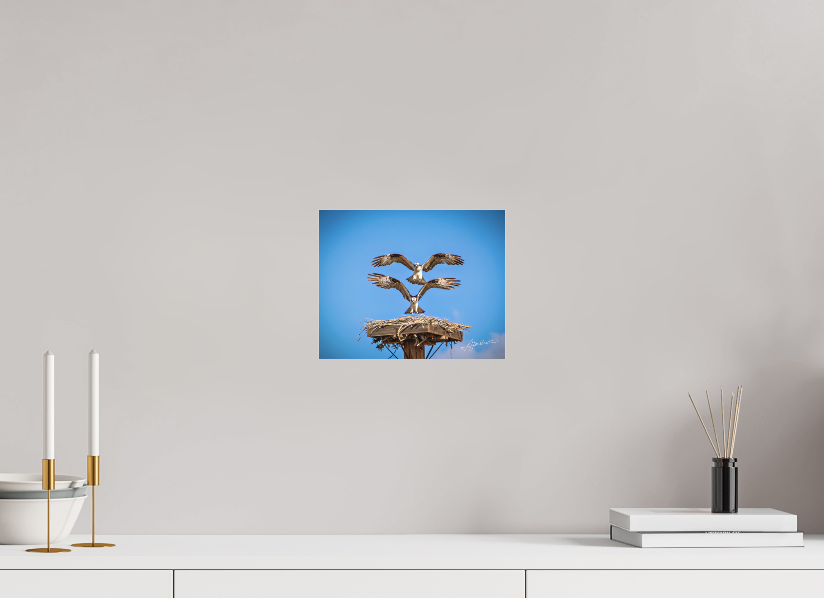 10 x 8″, Fine Pigment Under Acrylic Two Osprey Landing