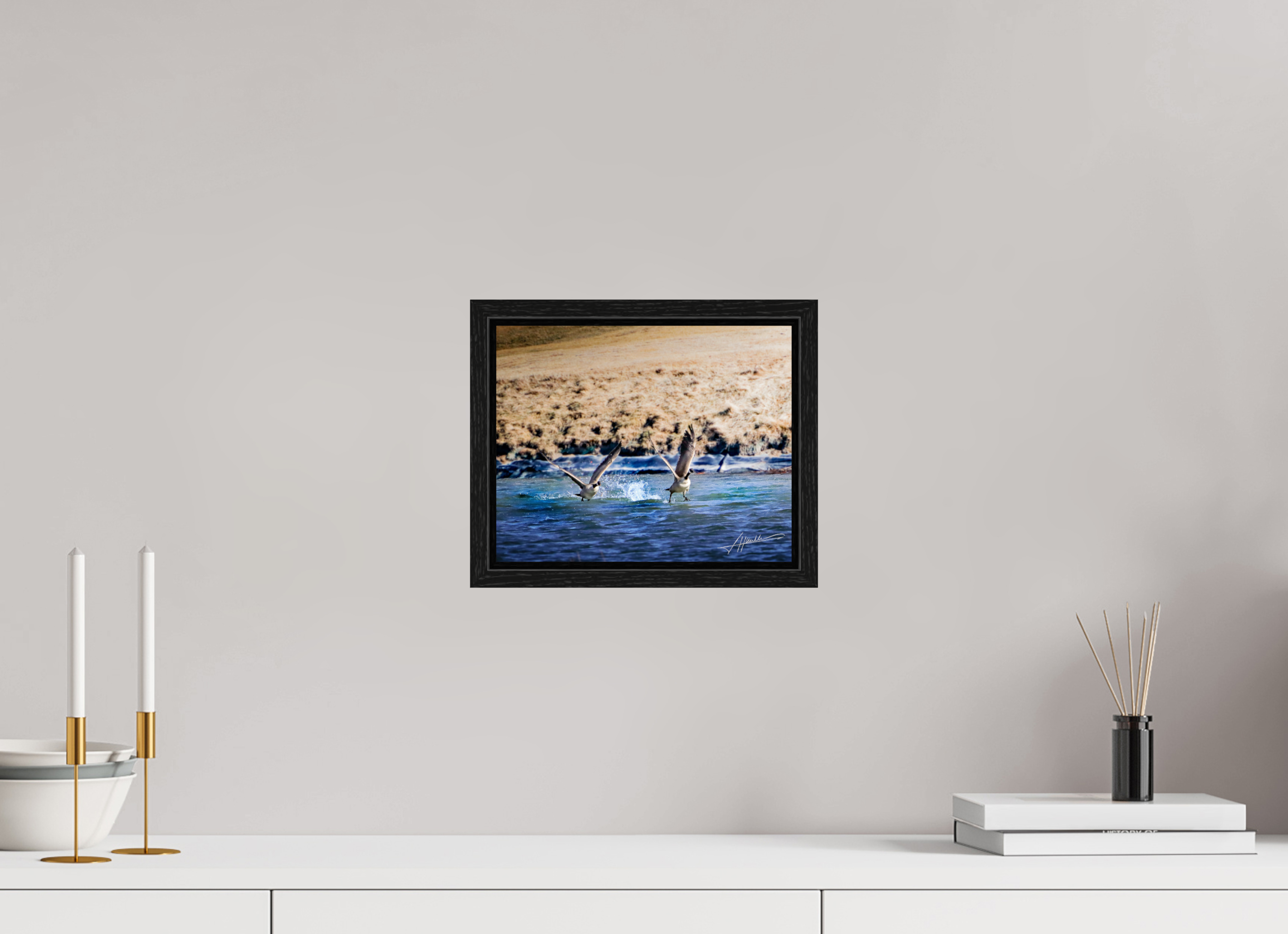 10 x 8″, Floater Frame Geese Taking Flight