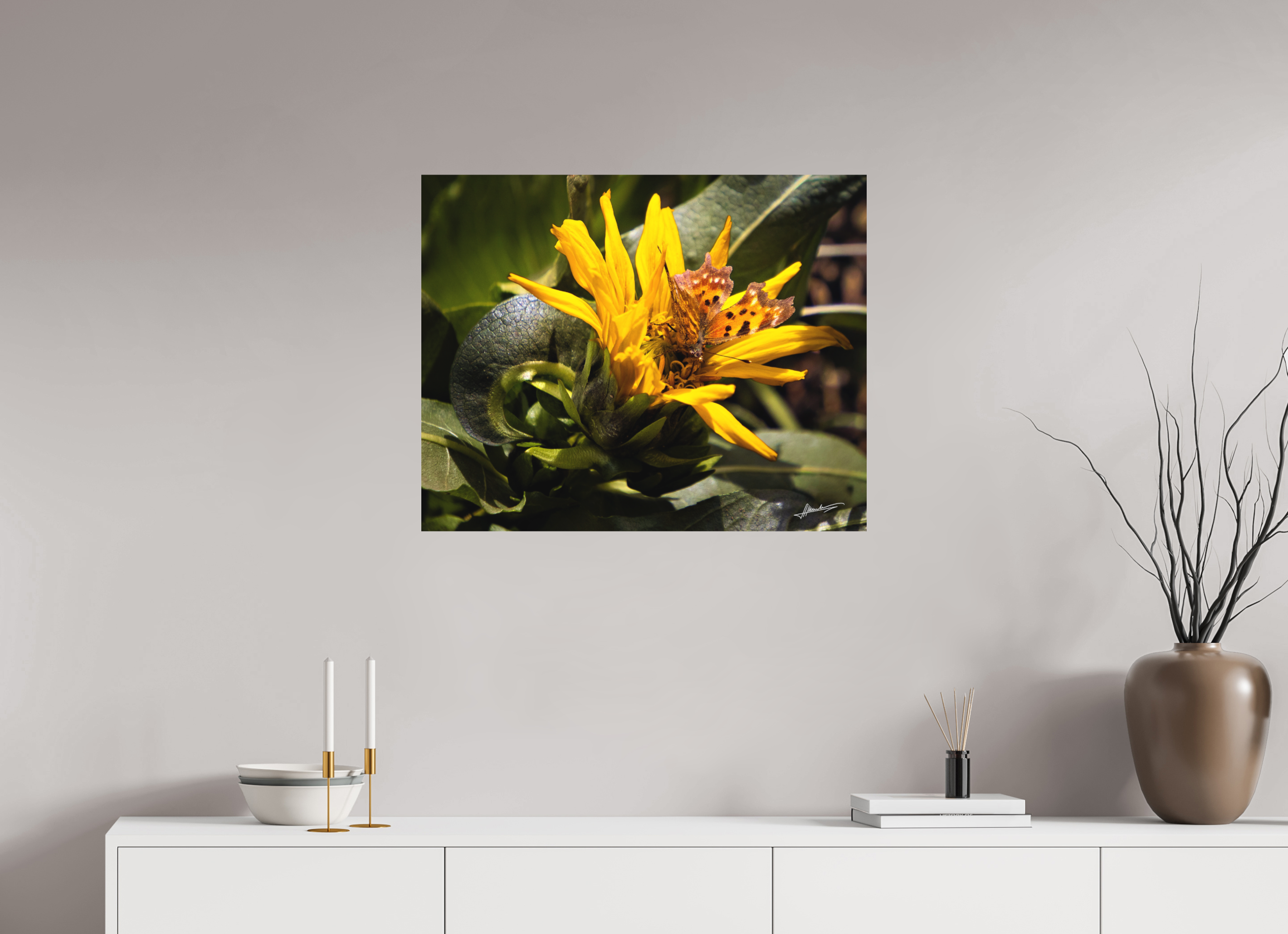 30 x 24″, Metal Dibond Busy Butterfly