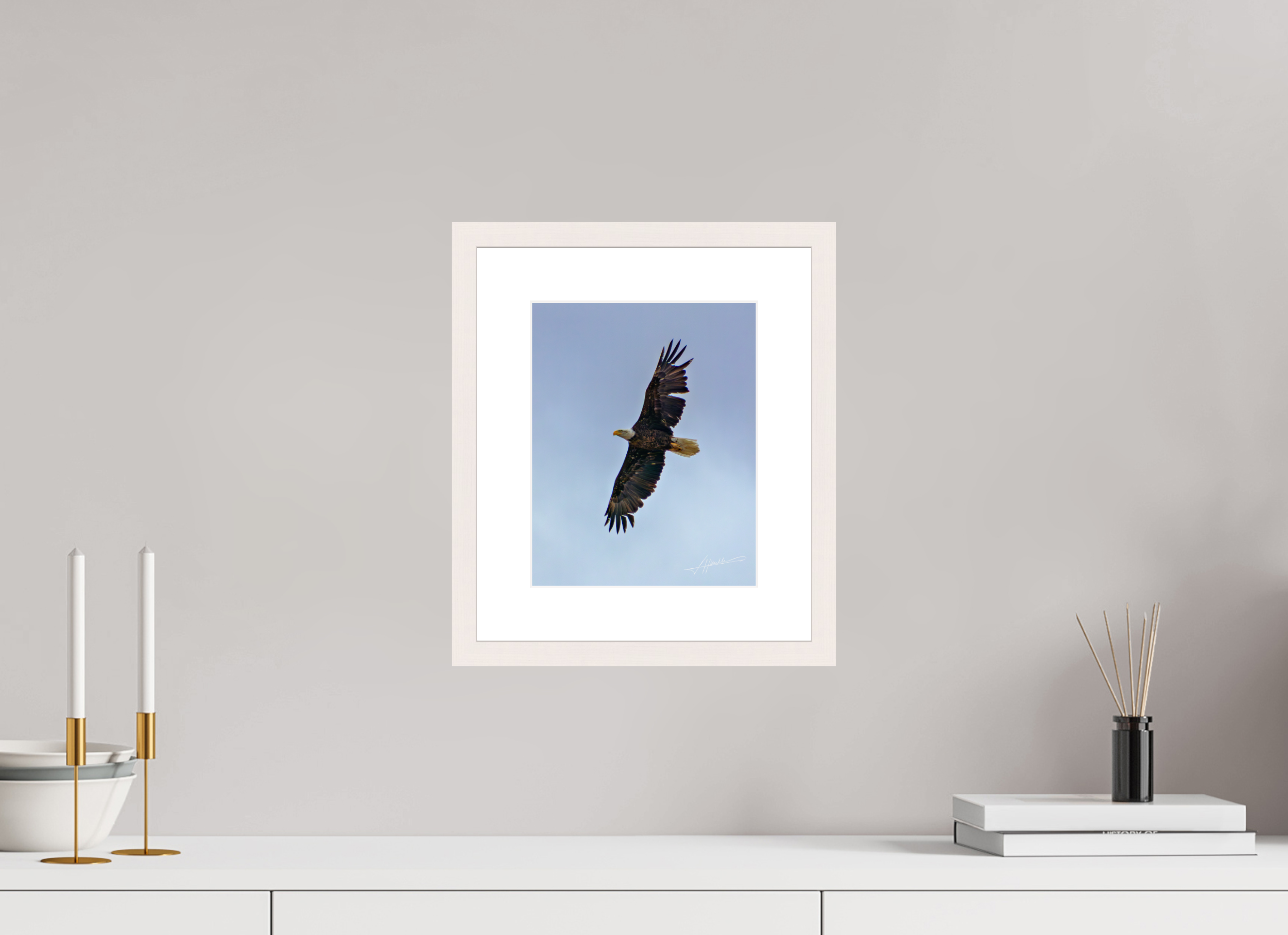 8 x 10″, Solid Wood Frame with Passe-partout Wings Spread