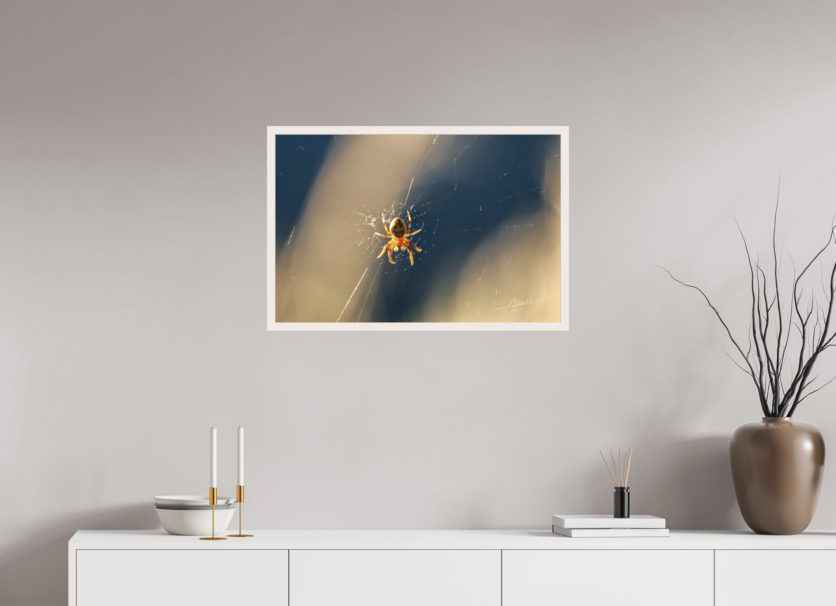 30 x 20″, Gallery Frame Tattered Web