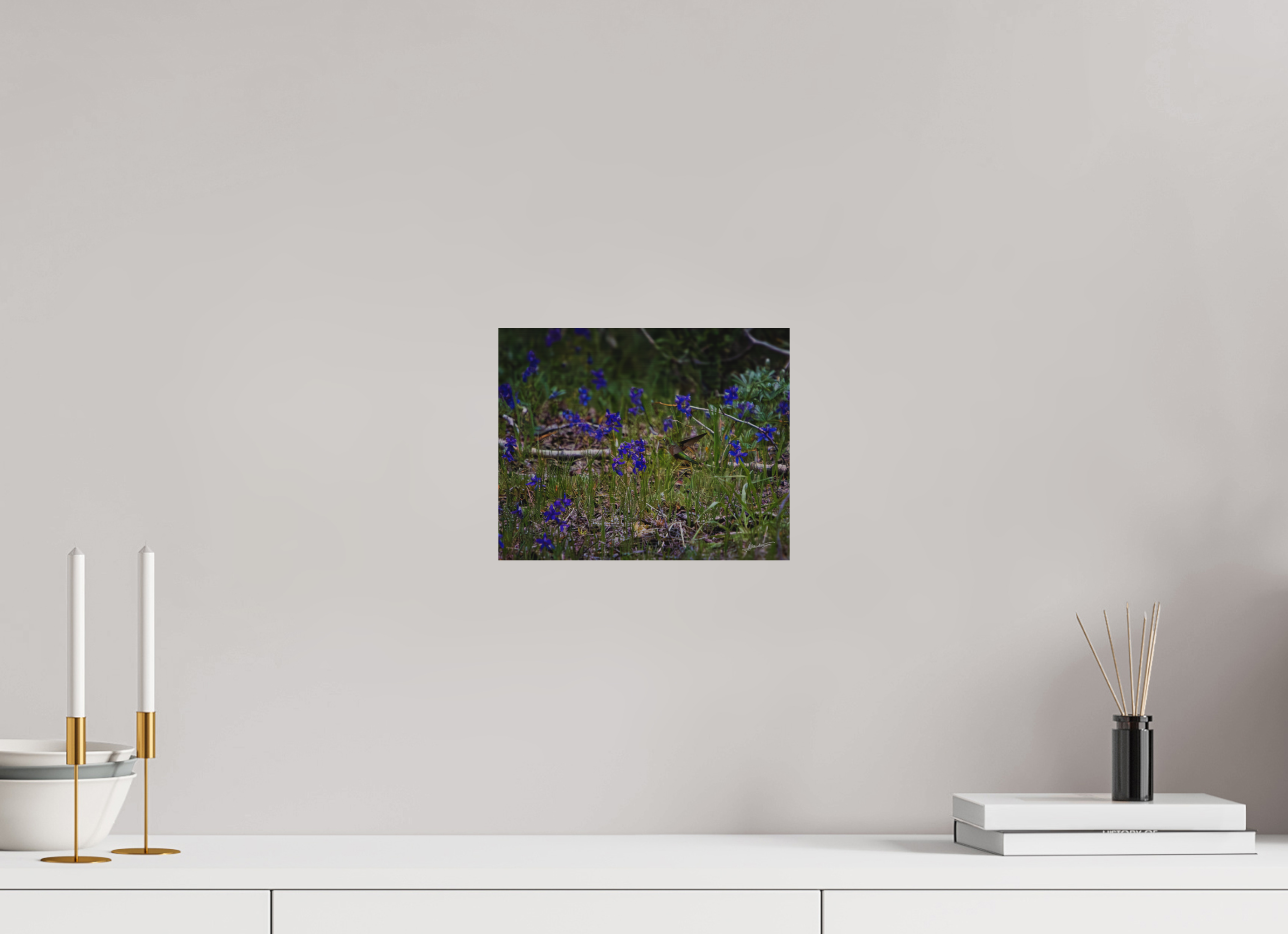 10 x 8″, Direct Brushed Aluminum Feeding Hummingbird