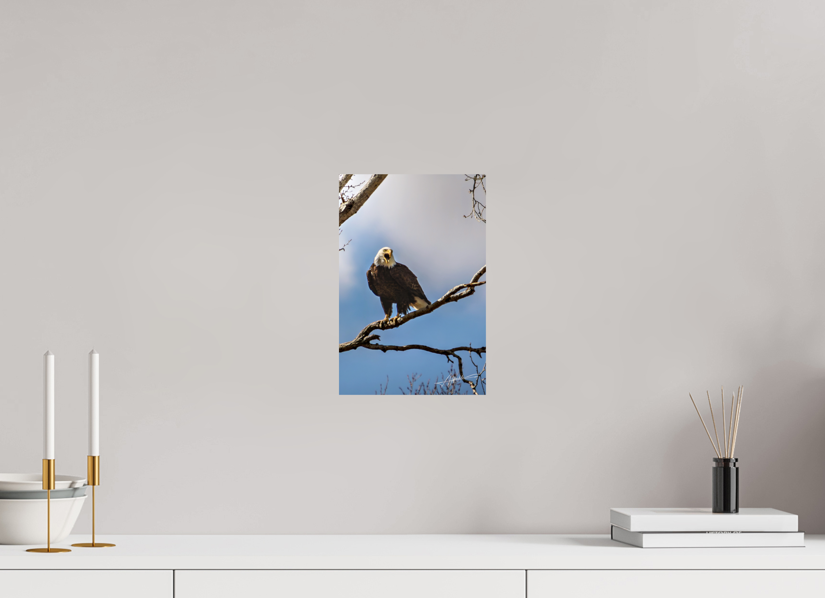 8 x 12″, Photo Print On Fujiflex High Gloss The Eagle's Call