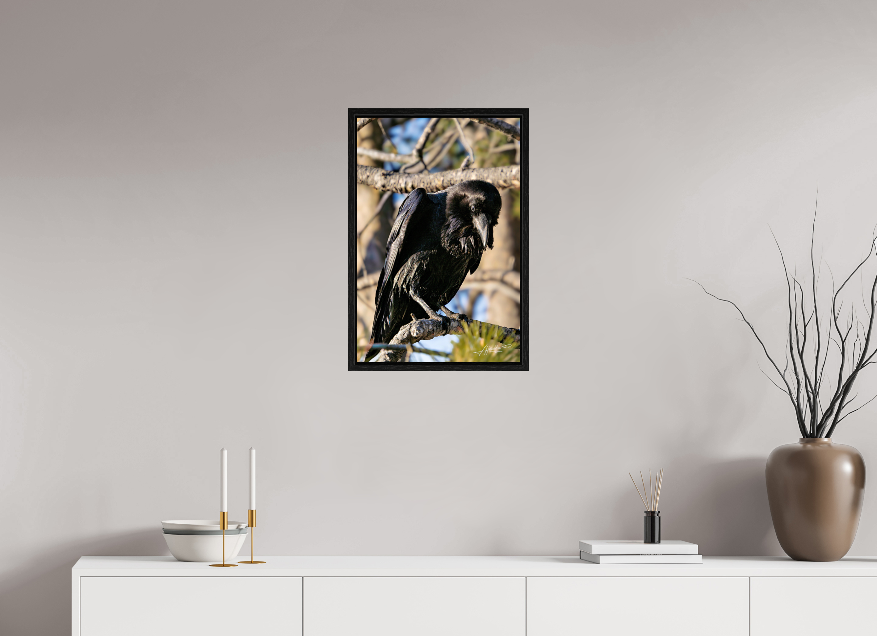 16 x 24″, Floater Frame Morning Raven