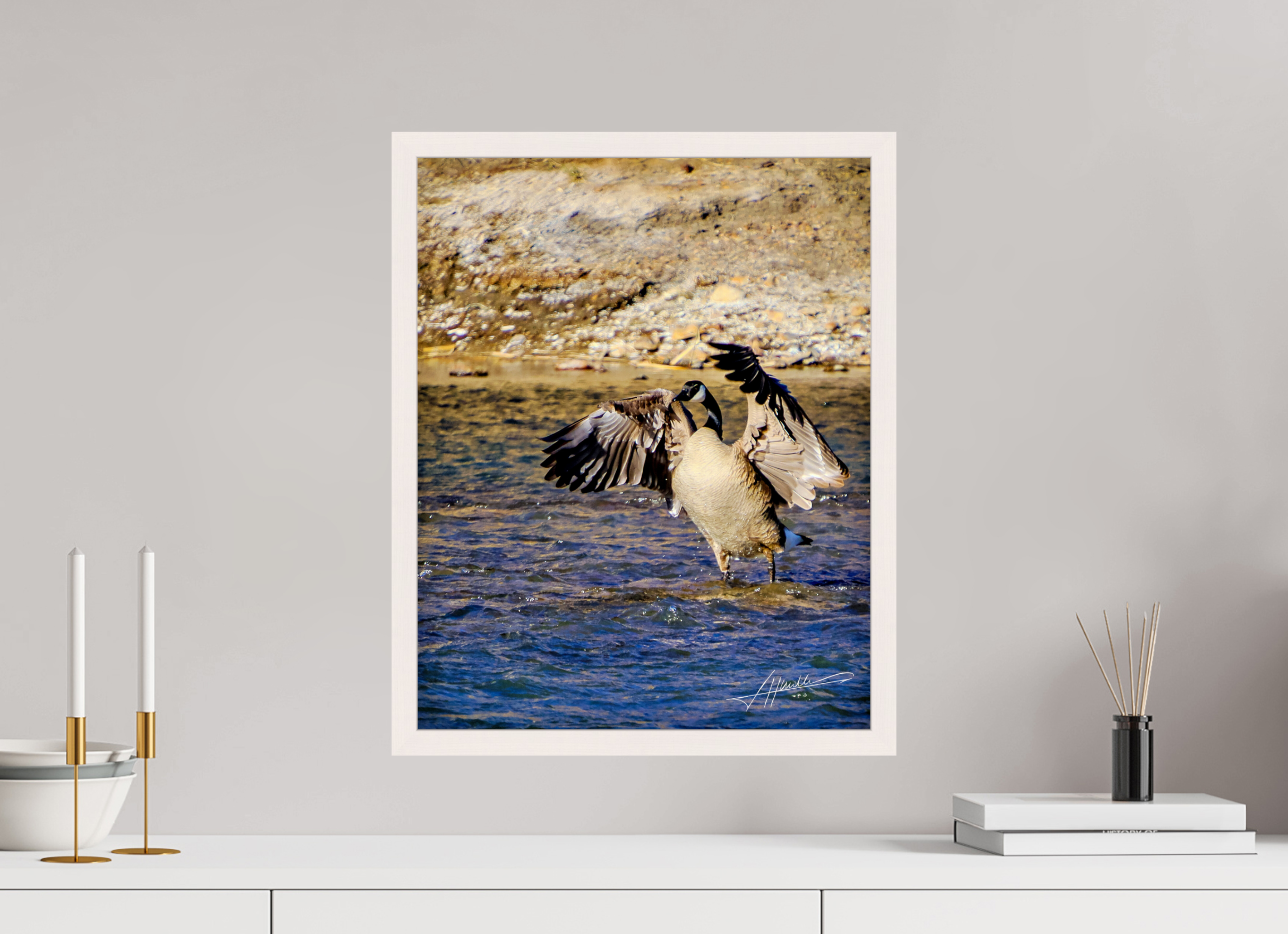 16 x 20″, Gallery Frame The Bathing Goose