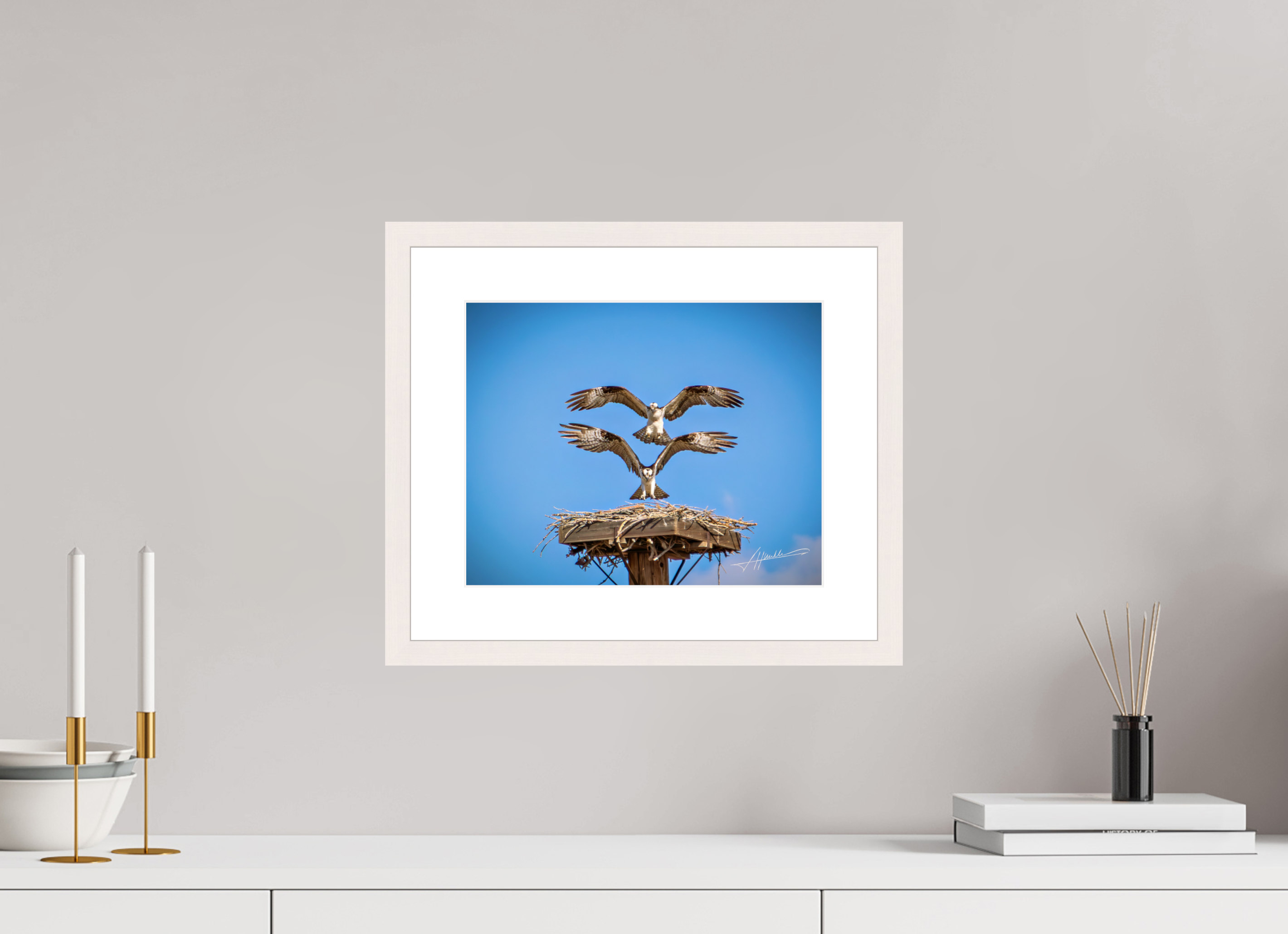 12.5 x 10″, Solid Wood Frame with Passe-partout Two Osprey Landing