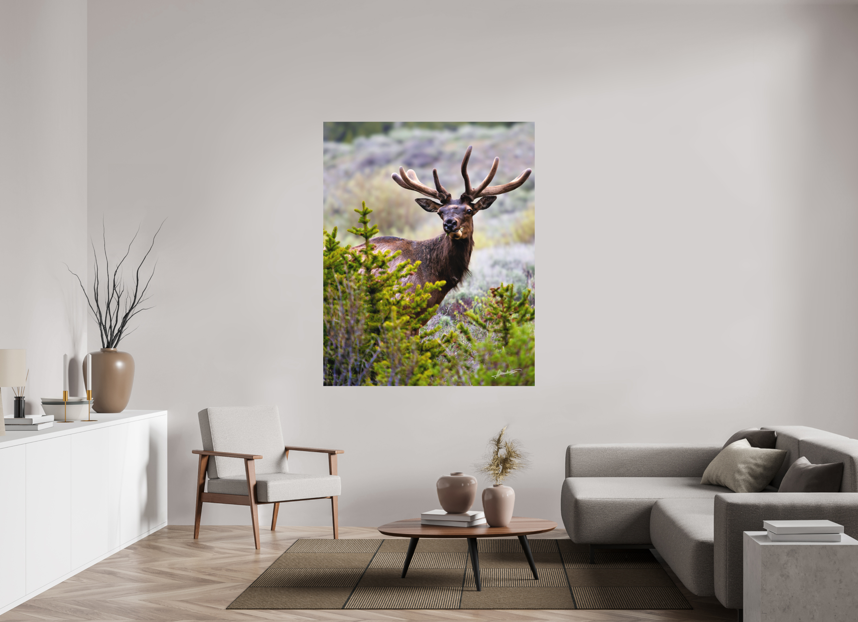 51 x 63.7″, Metal Dibond Velvet Bull