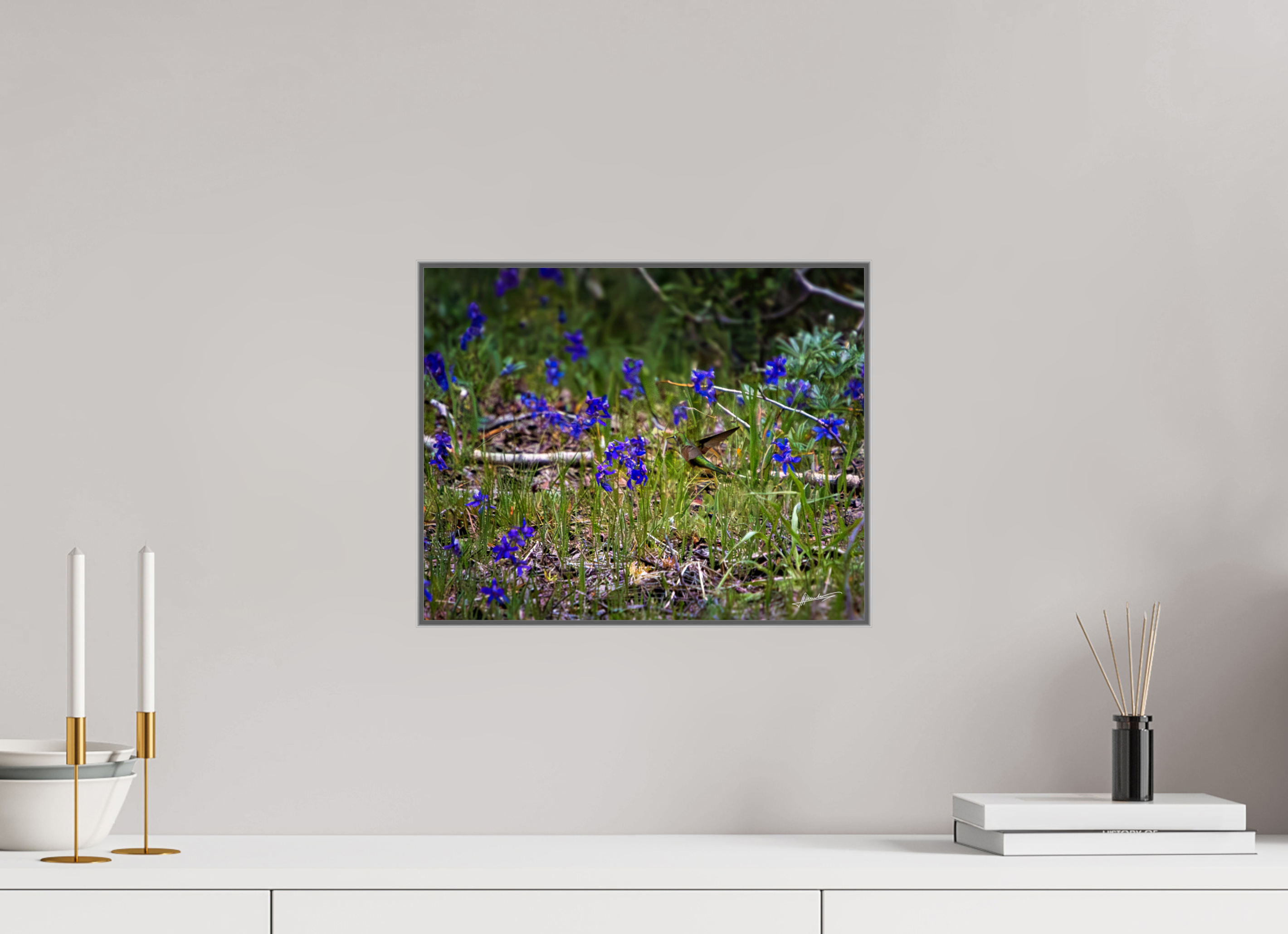 15 x 12″, Aluminum ArtBox Feeding Hummingbird