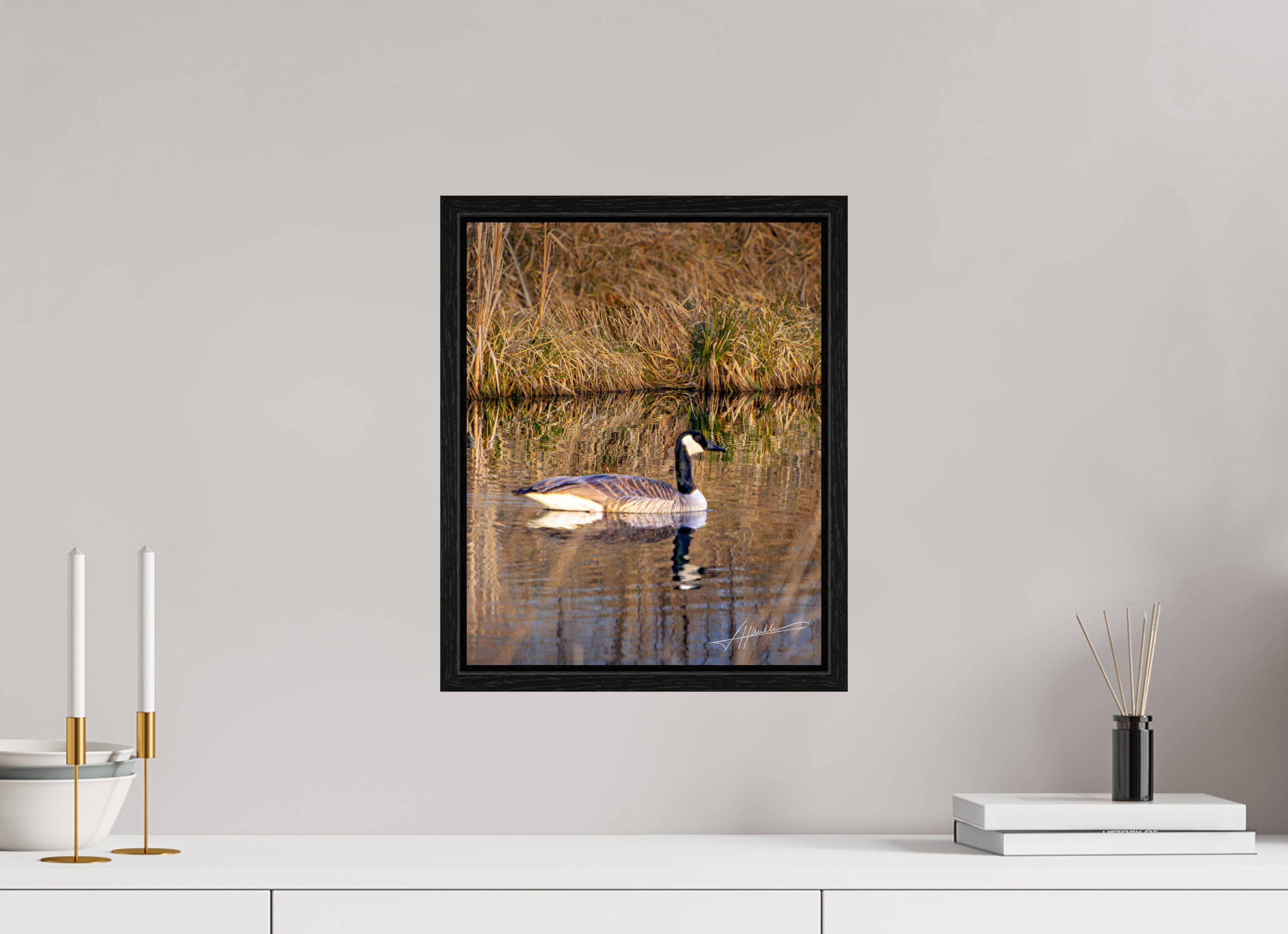 12 x 15″, Floater Frame A Swimming Reflection