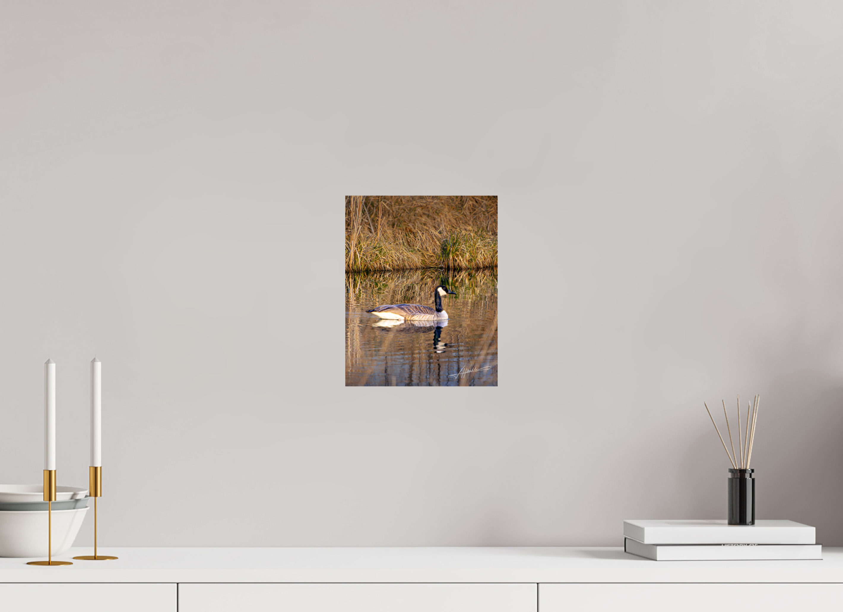8 x 10″, Fine Art Dibond A Swimming Reflection