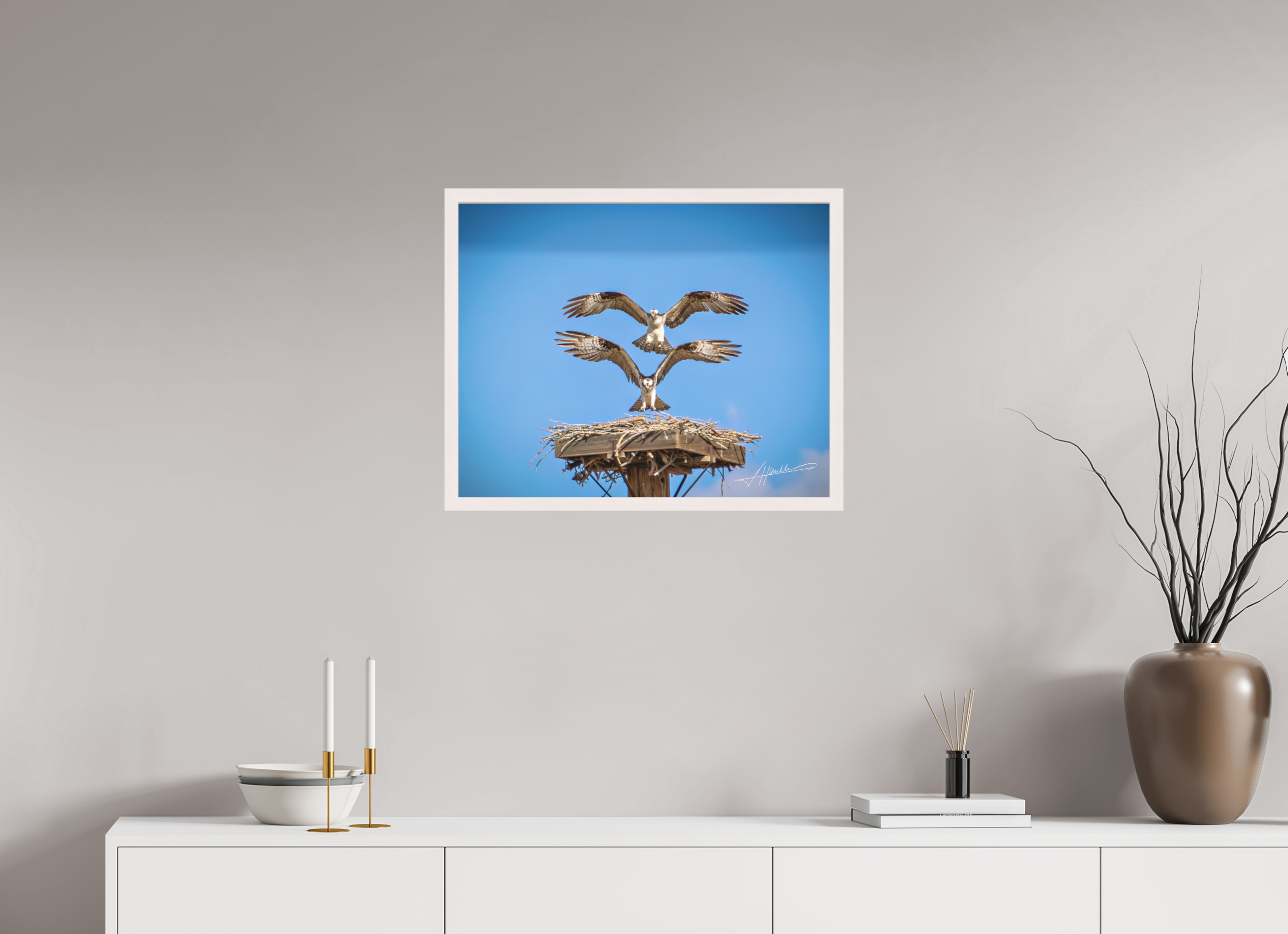 25 x 20″, Shadow Box Frame Two Osprey Landing