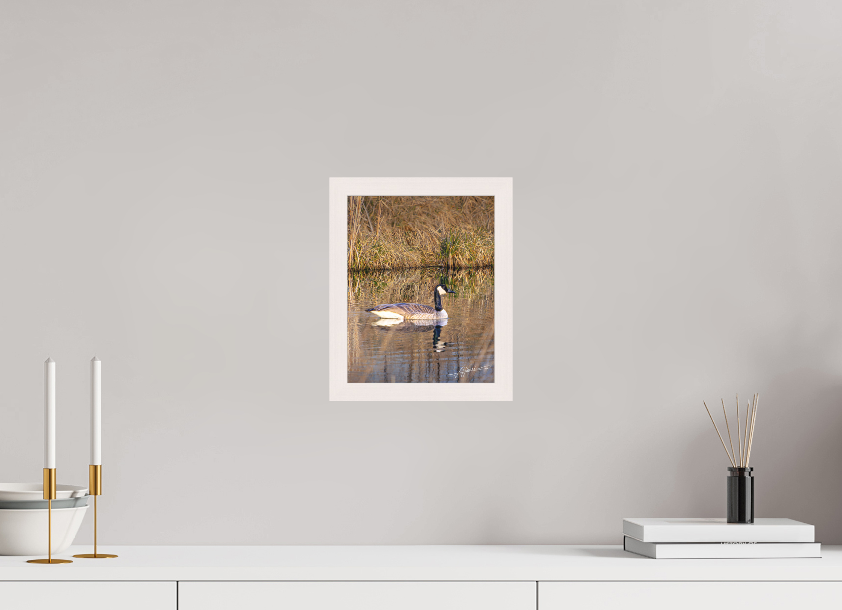 8 x 10″, Shadow Box Frame A Swimming Reflection