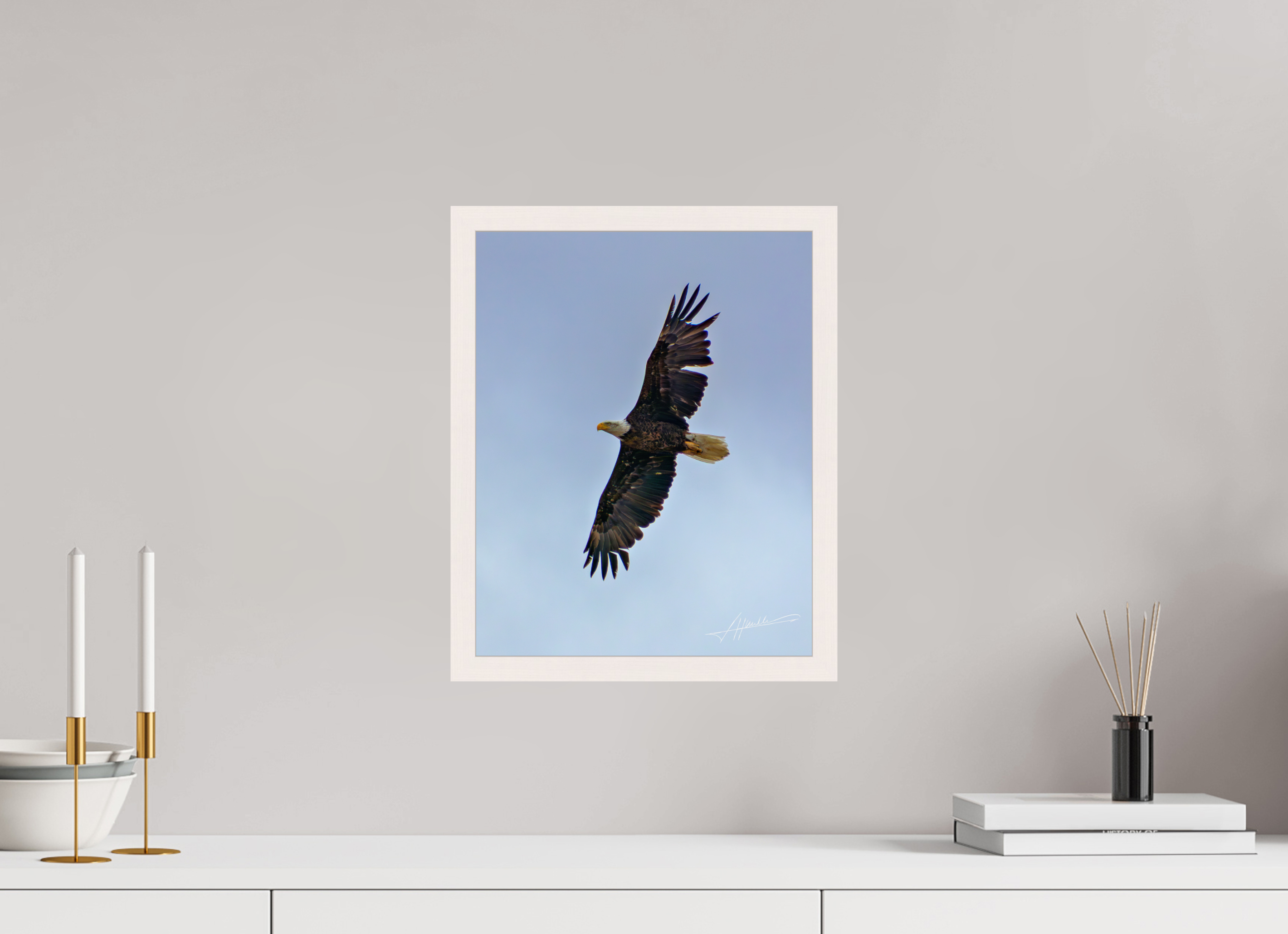 12 x 15″, Gallery Frame Wings Spread