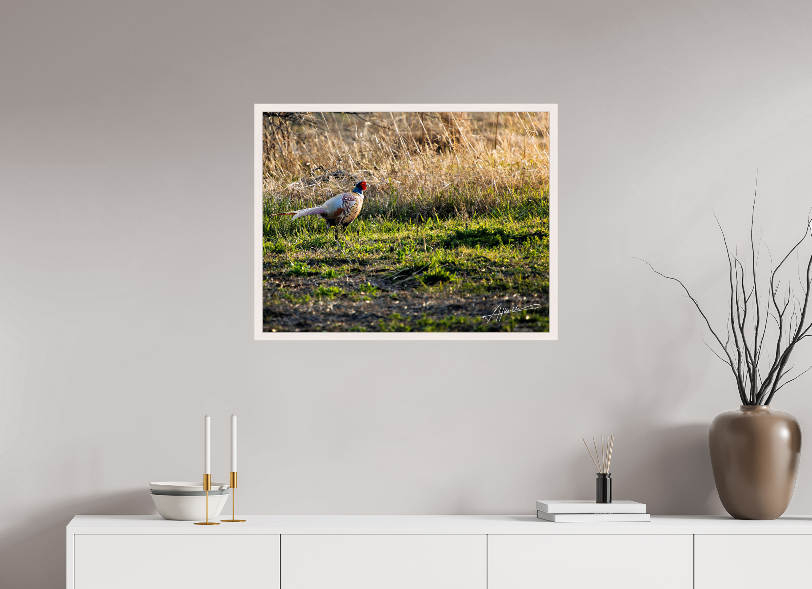 31.1 x 24″, Gallery Frame Evening Pheasant