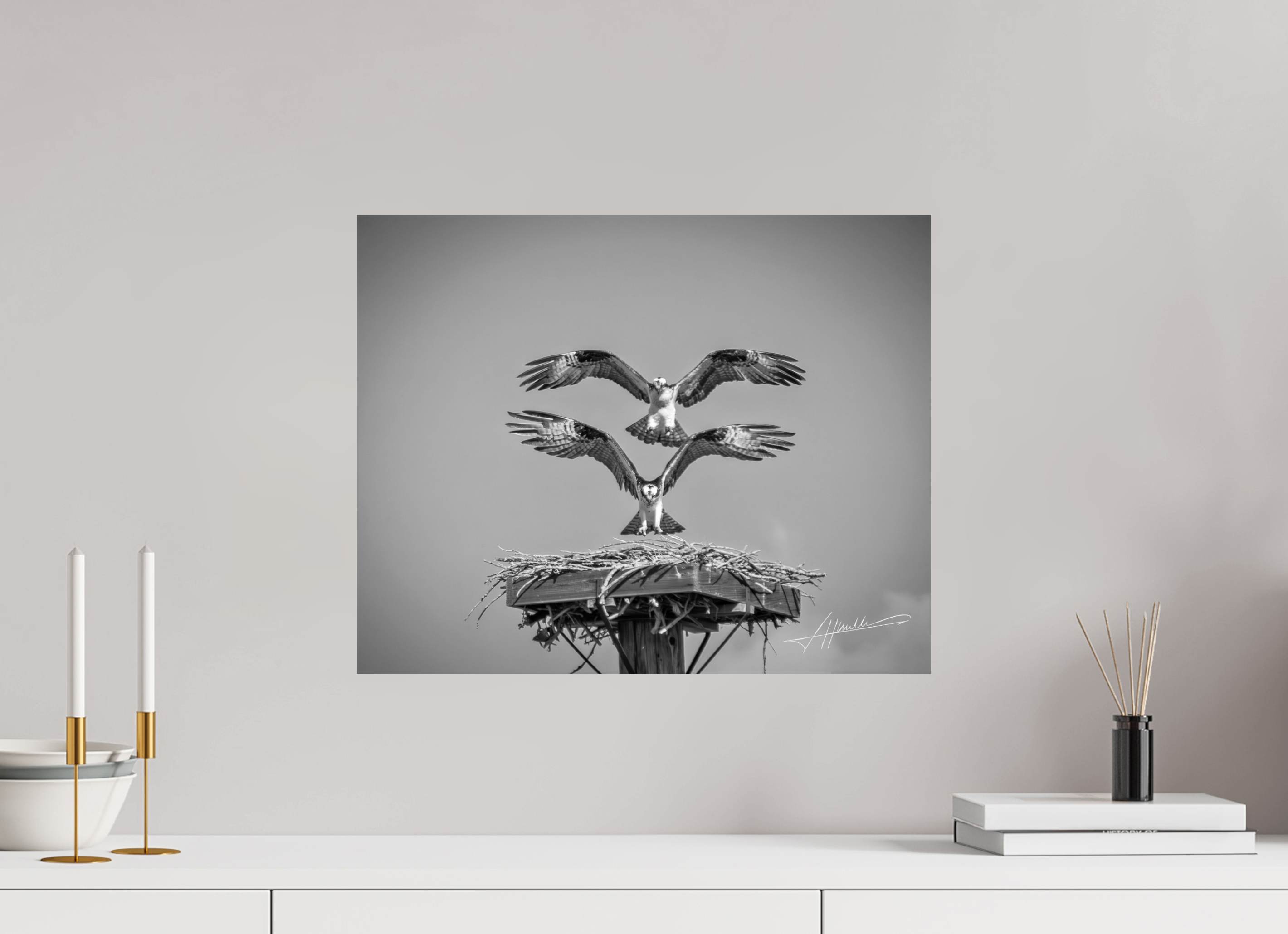 20 x 16″, Photo Print On Ilford Baryta Paper Two Osprey Landing