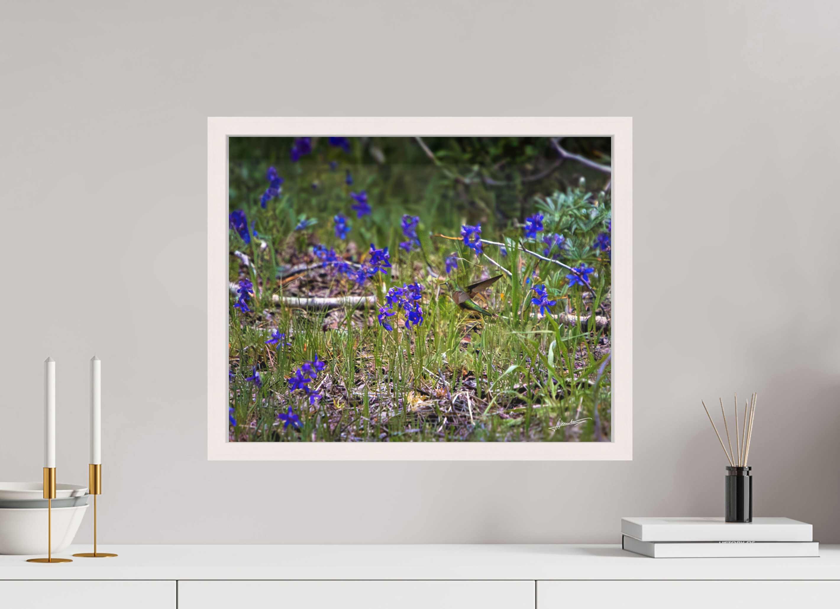 20 x 16″, Shadow Box Frame Feeding Hummingbird