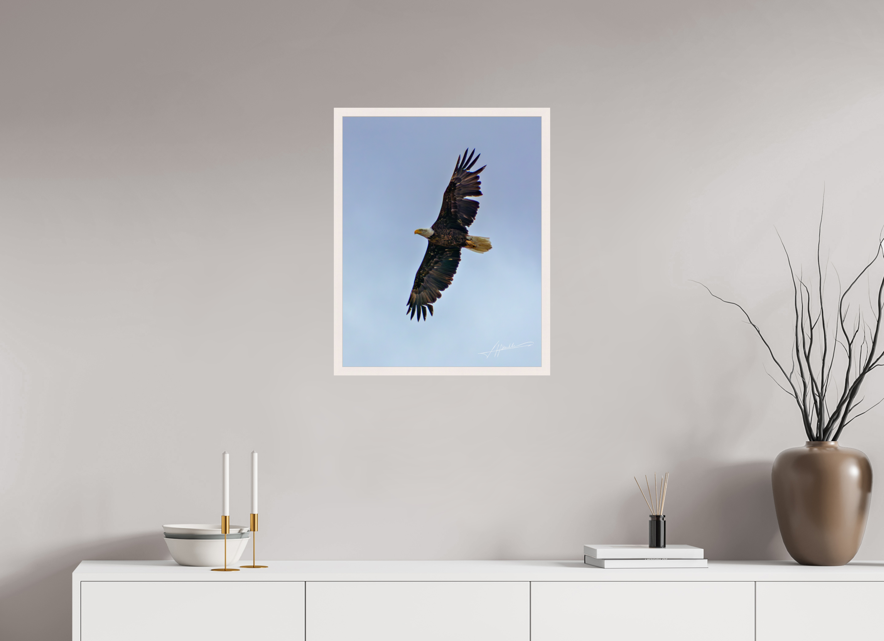 20 x 25″, Gallery Frame Wings Spread