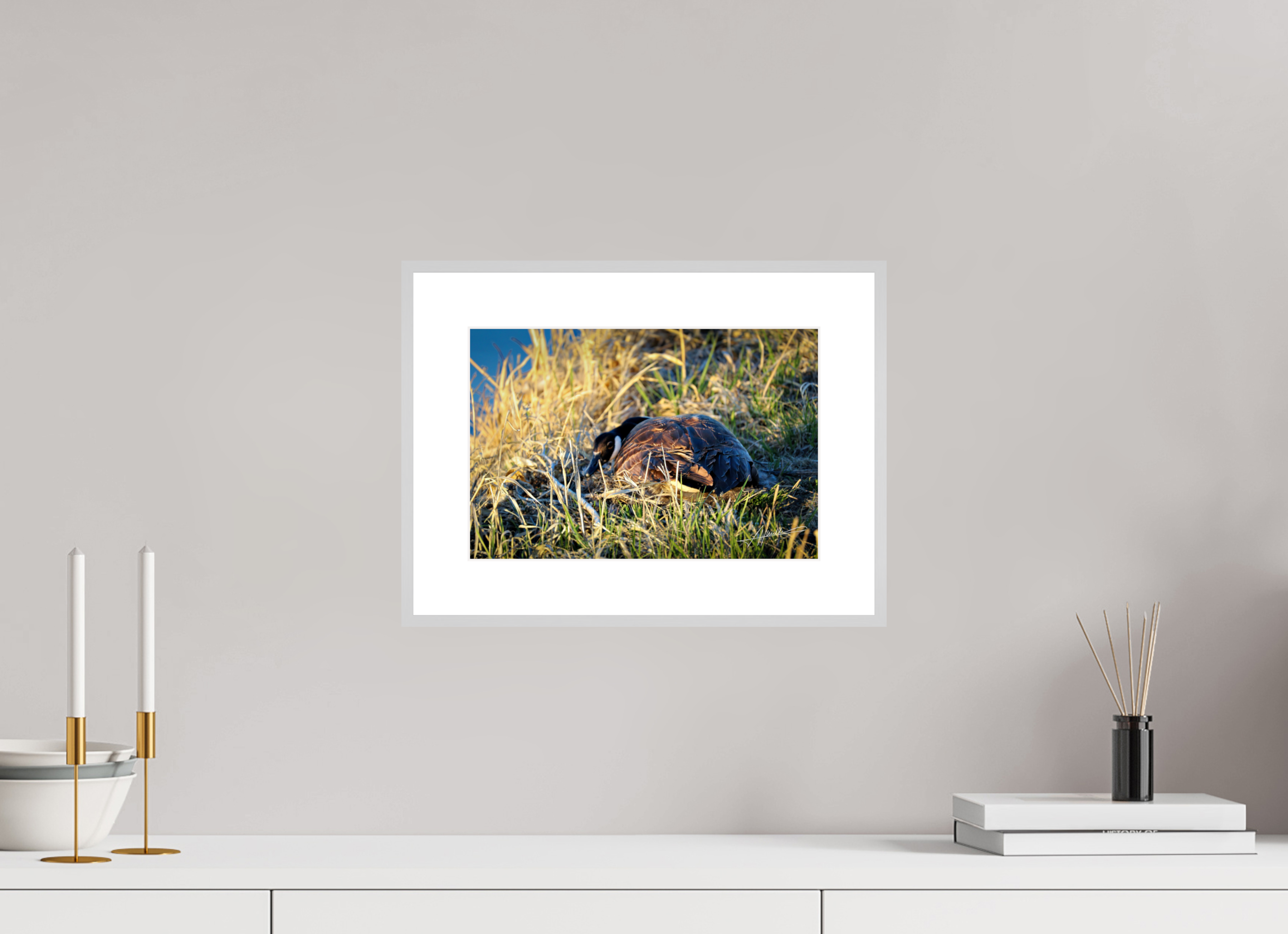 12 x 8″, Changeable Magnetic Frame New Nester
