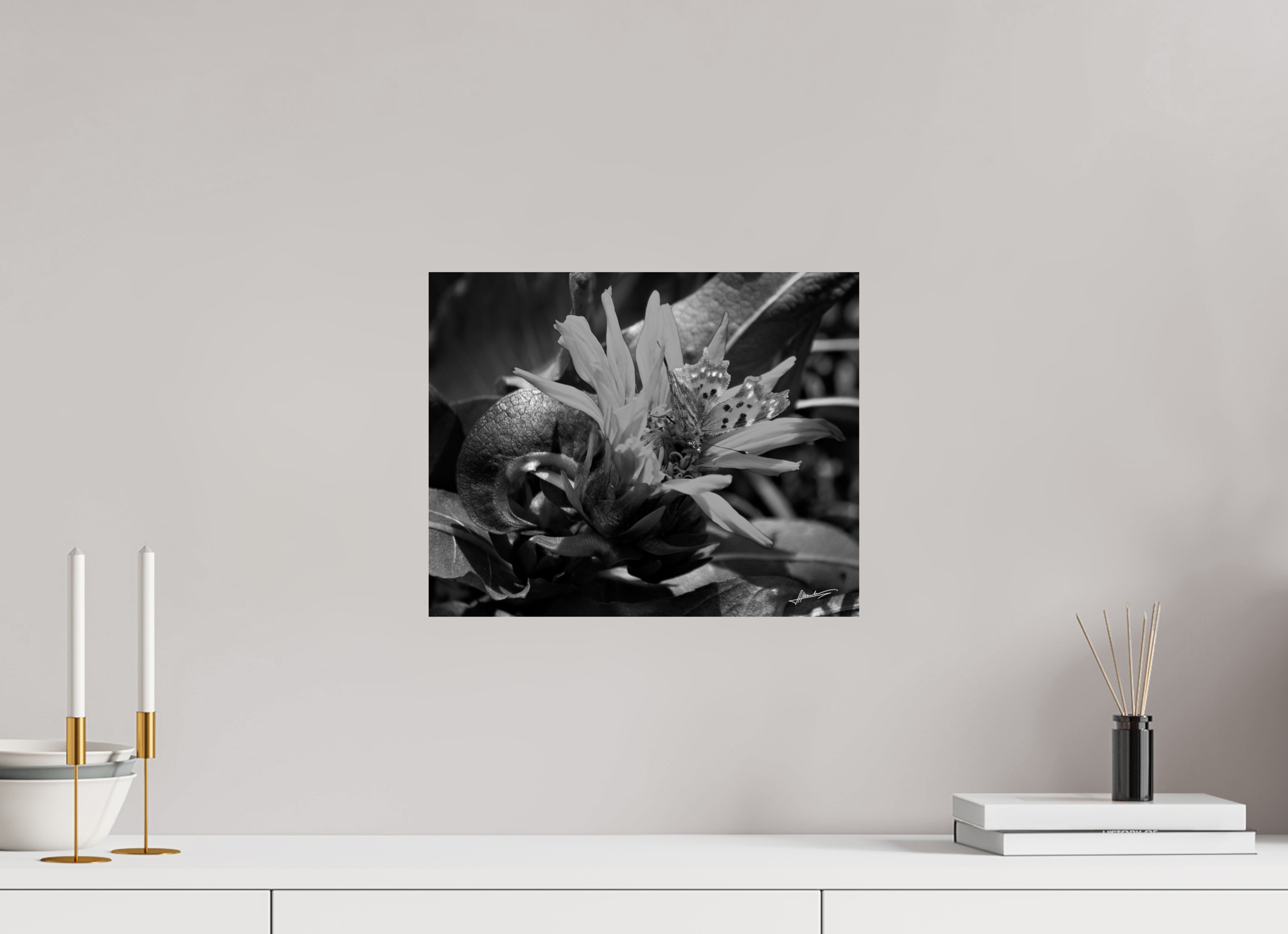 15 x 12″, Photo Print On Ilford Baryta Paper Busy Butterfly
