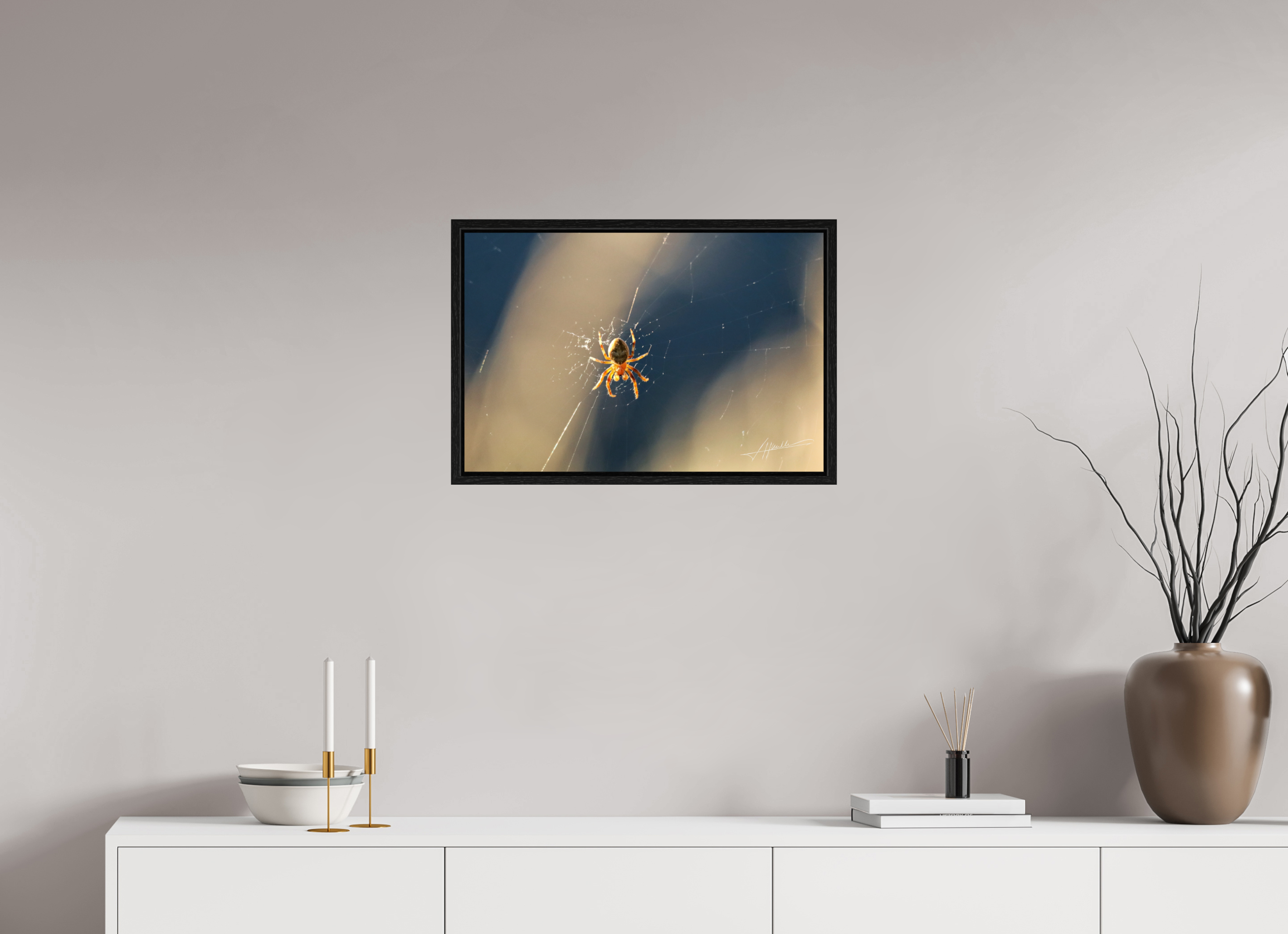 24 x 16″, Floater Frame Tattered Web