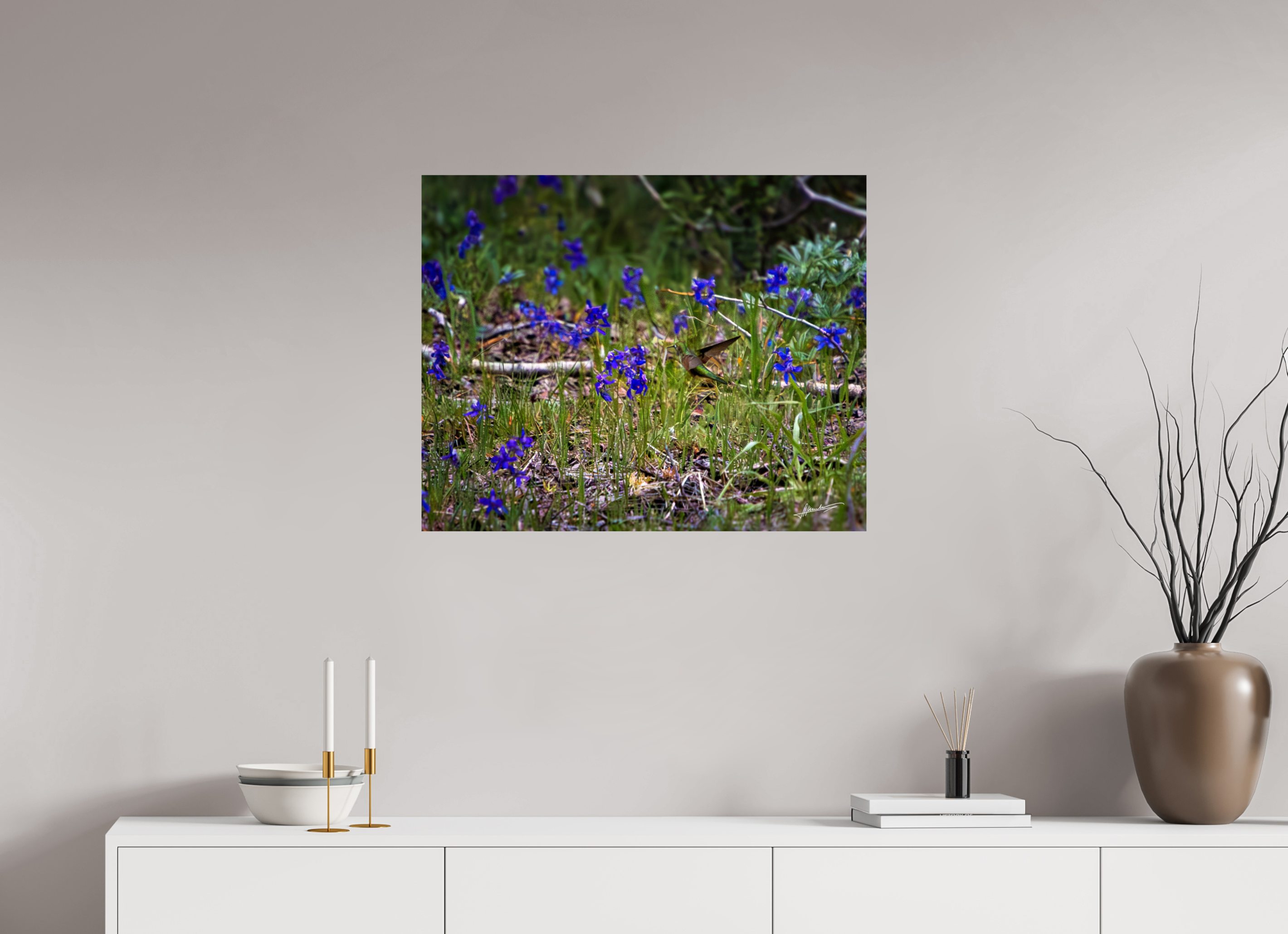 30 x 24″, ChromaLuxe HD Metal Feeding Hummingbird