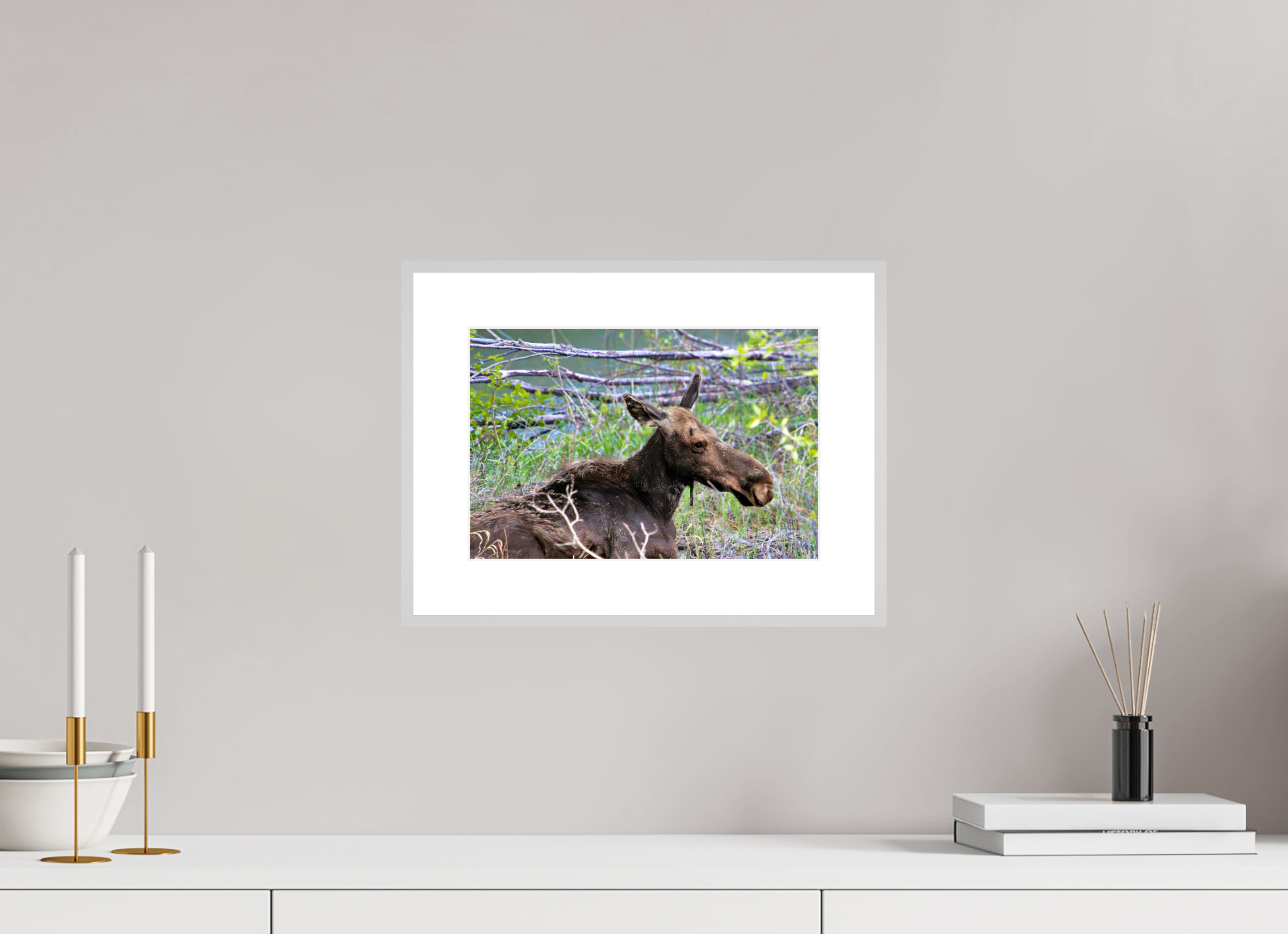 12 x 8″, Changeable Magnetic Frame Moose Relaxing