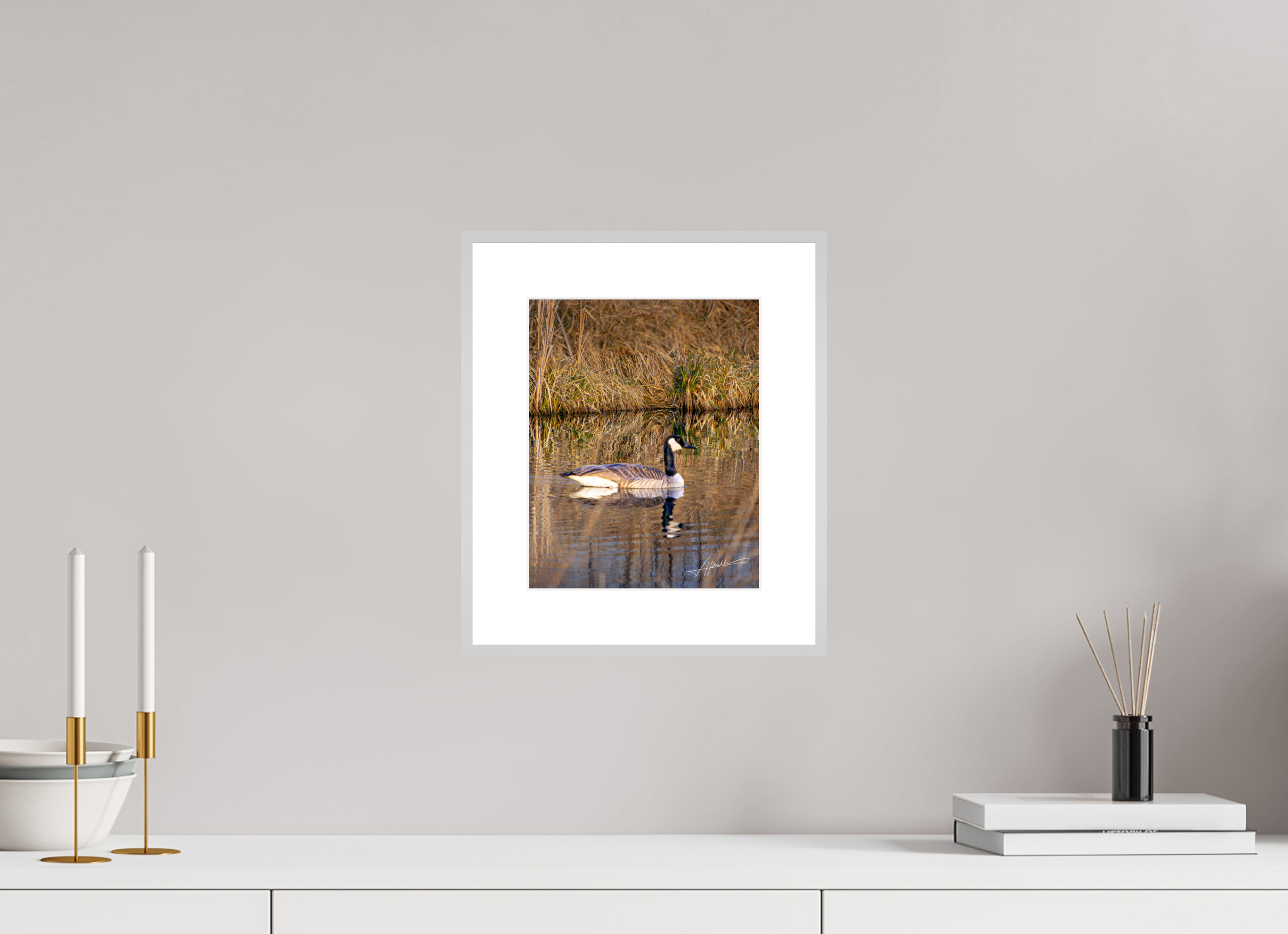 8 x 10″, Changeable Magnetic Frame A Swimming Reflection