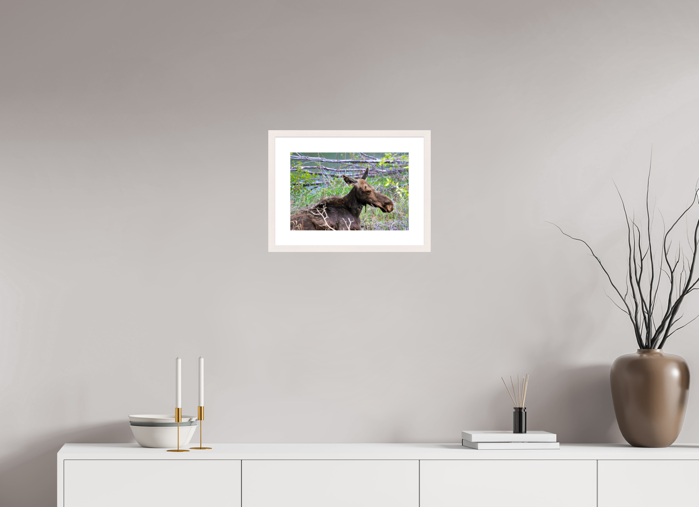 15 x 10″, Solid Wood Frame with Passe-partout Moose Relaxing