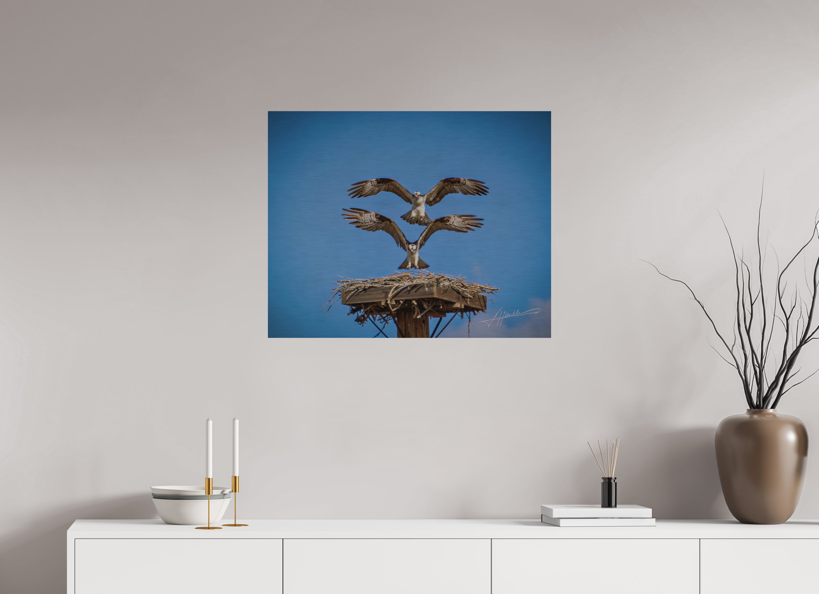 30 x 24″, Direct Brushed Aluminum Two Osprey Landing