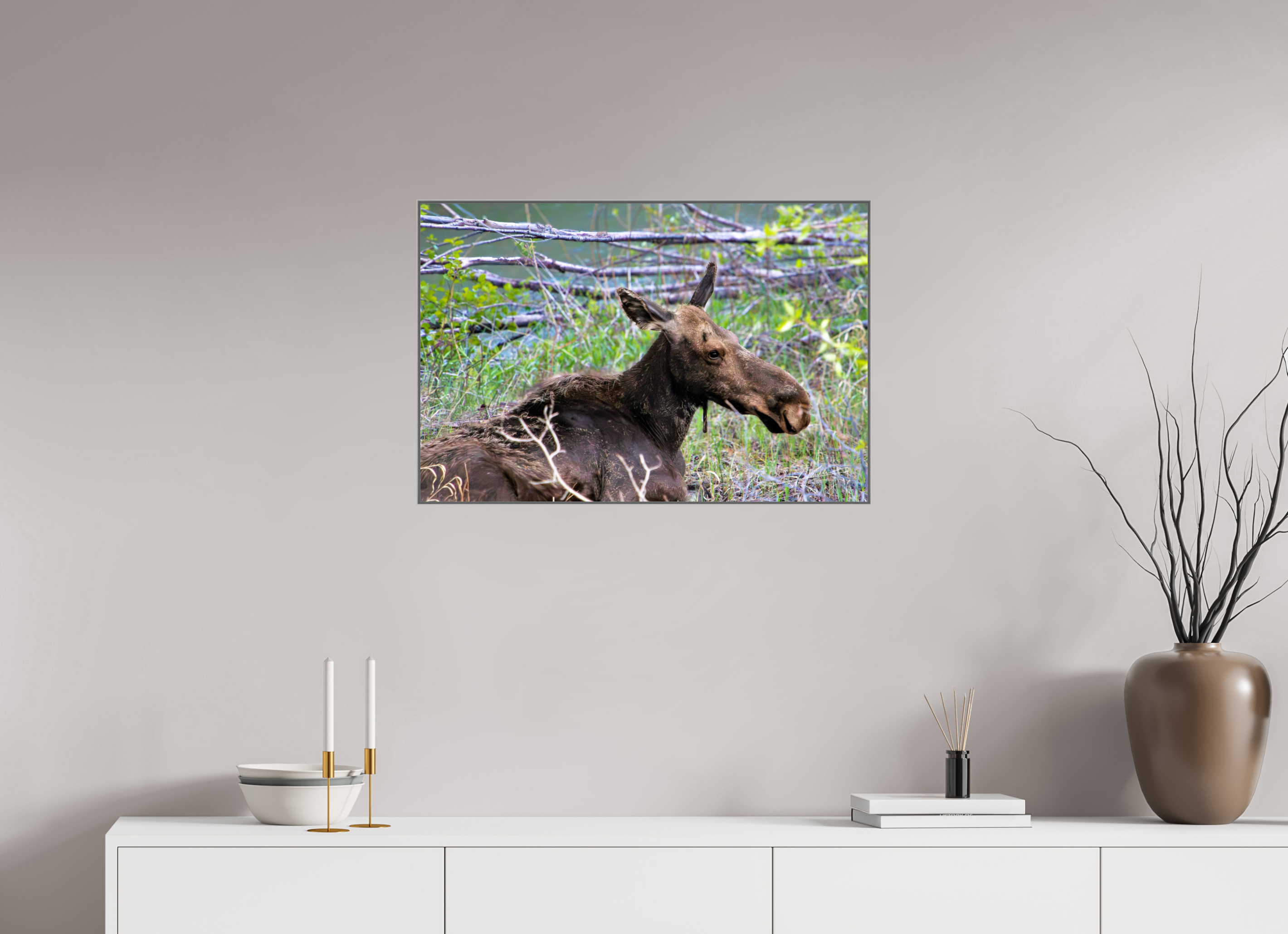 30 x 20″, Aluminum ArtBox Moose Relaxing