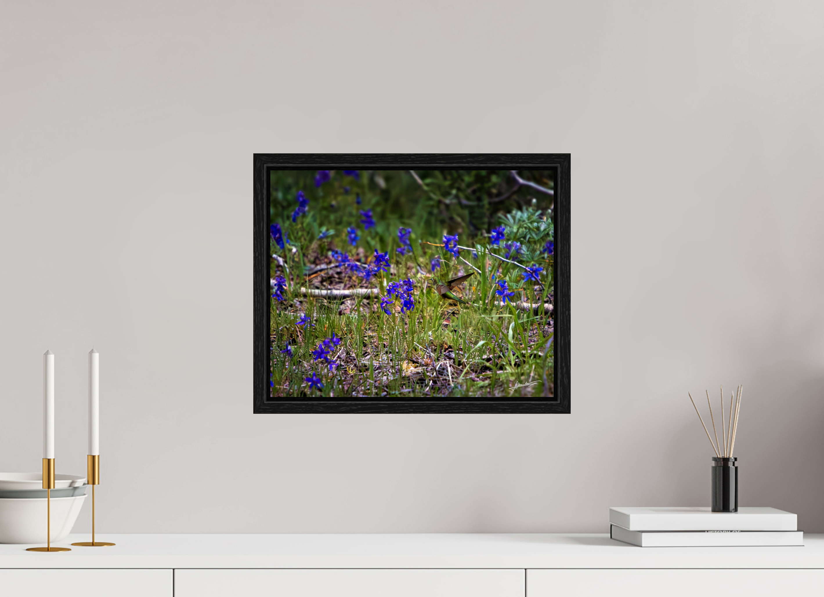 15 x 12″, Floater Frame Feeding Hummingbird
