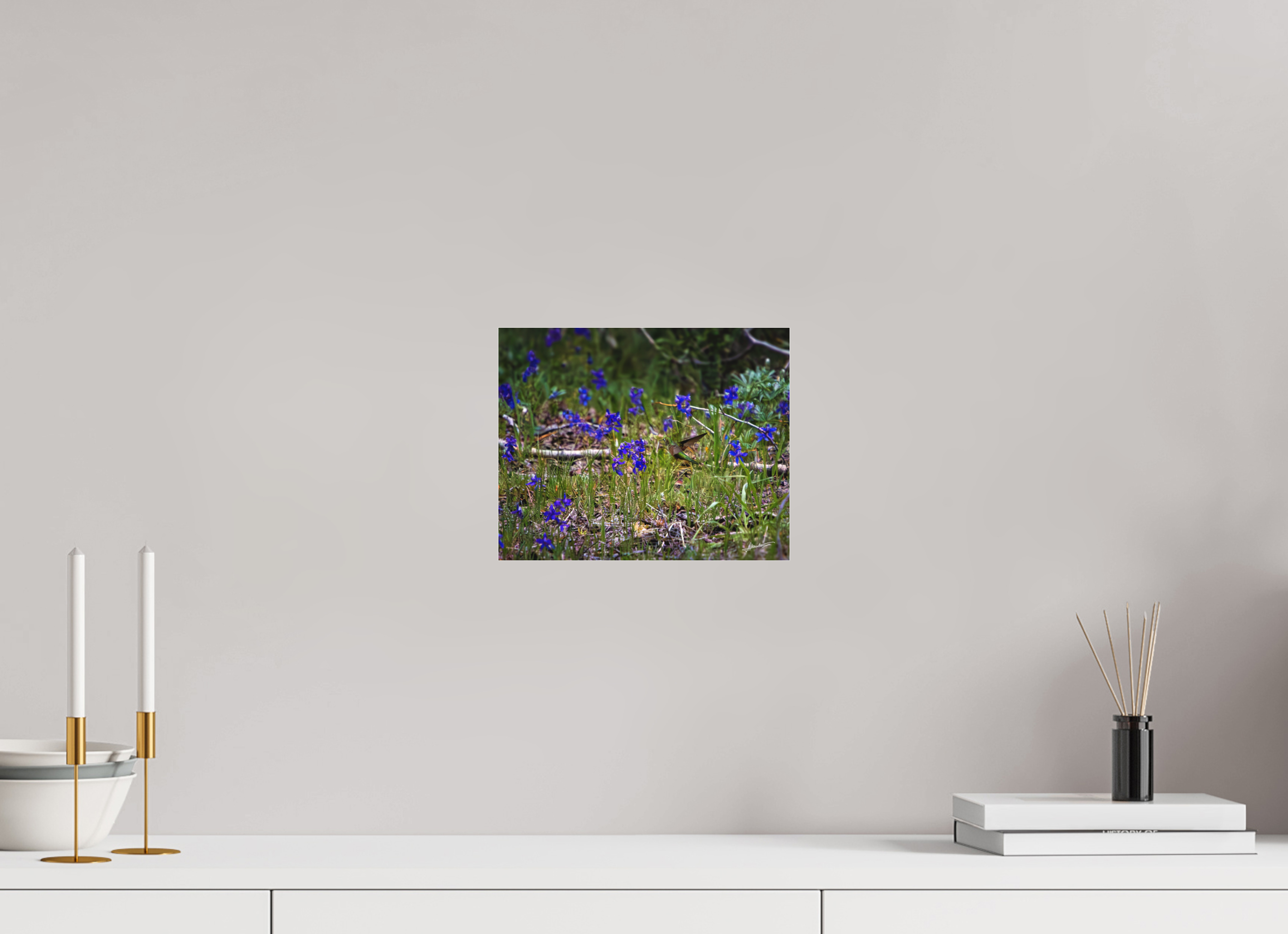 10 x 8″, Fine Pigment Under Acrylic Feeding Hummingbird
