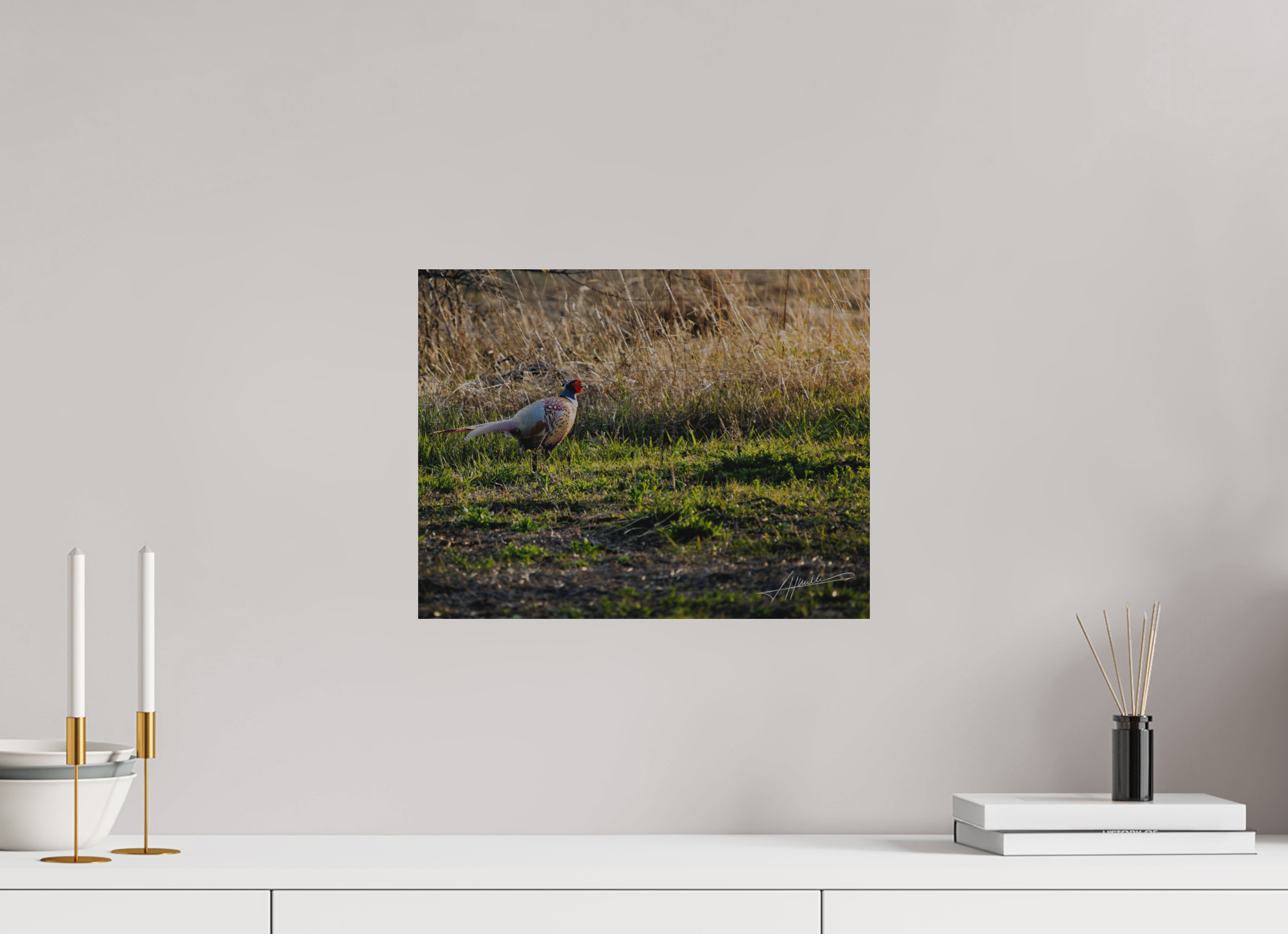 15.5 x 12″, Direct Brushed Aluminum Evening Pheasant