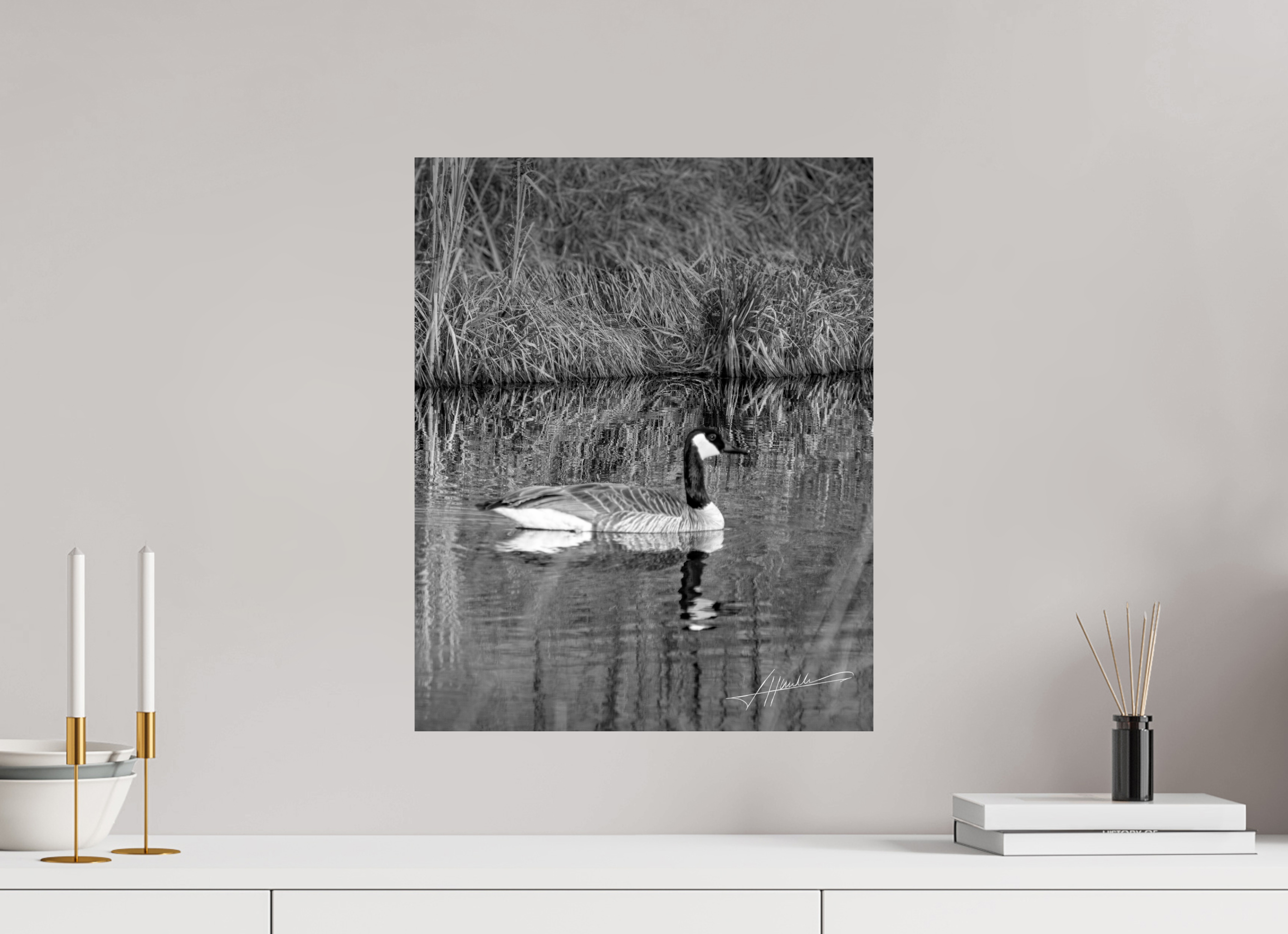 16 x 20″, Photo Print On Ilford Baryta Paper A Swimming Reflection