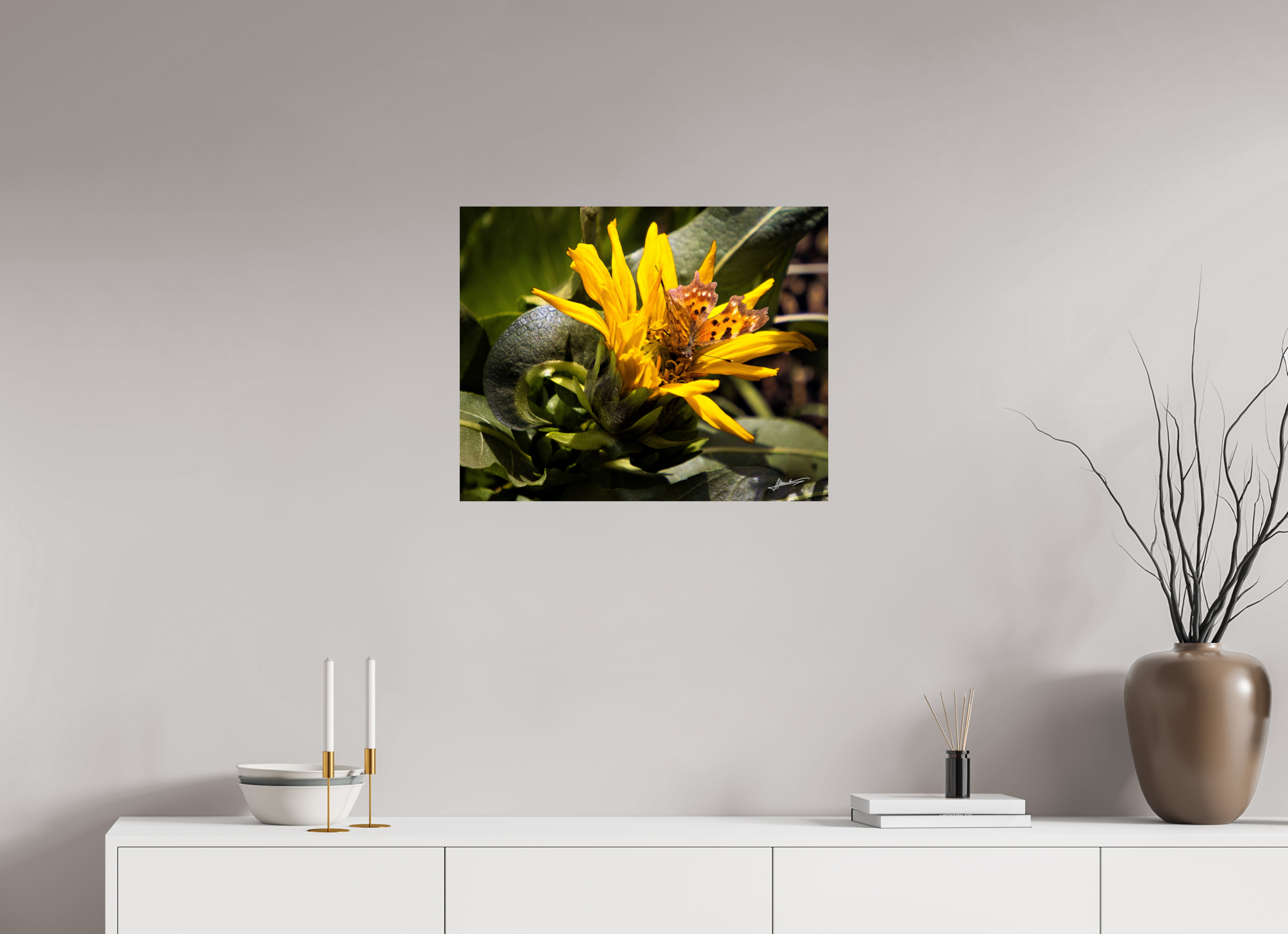 25 x 20″, Photo Print On Fuji Crystal DP II Busy Butterfly
