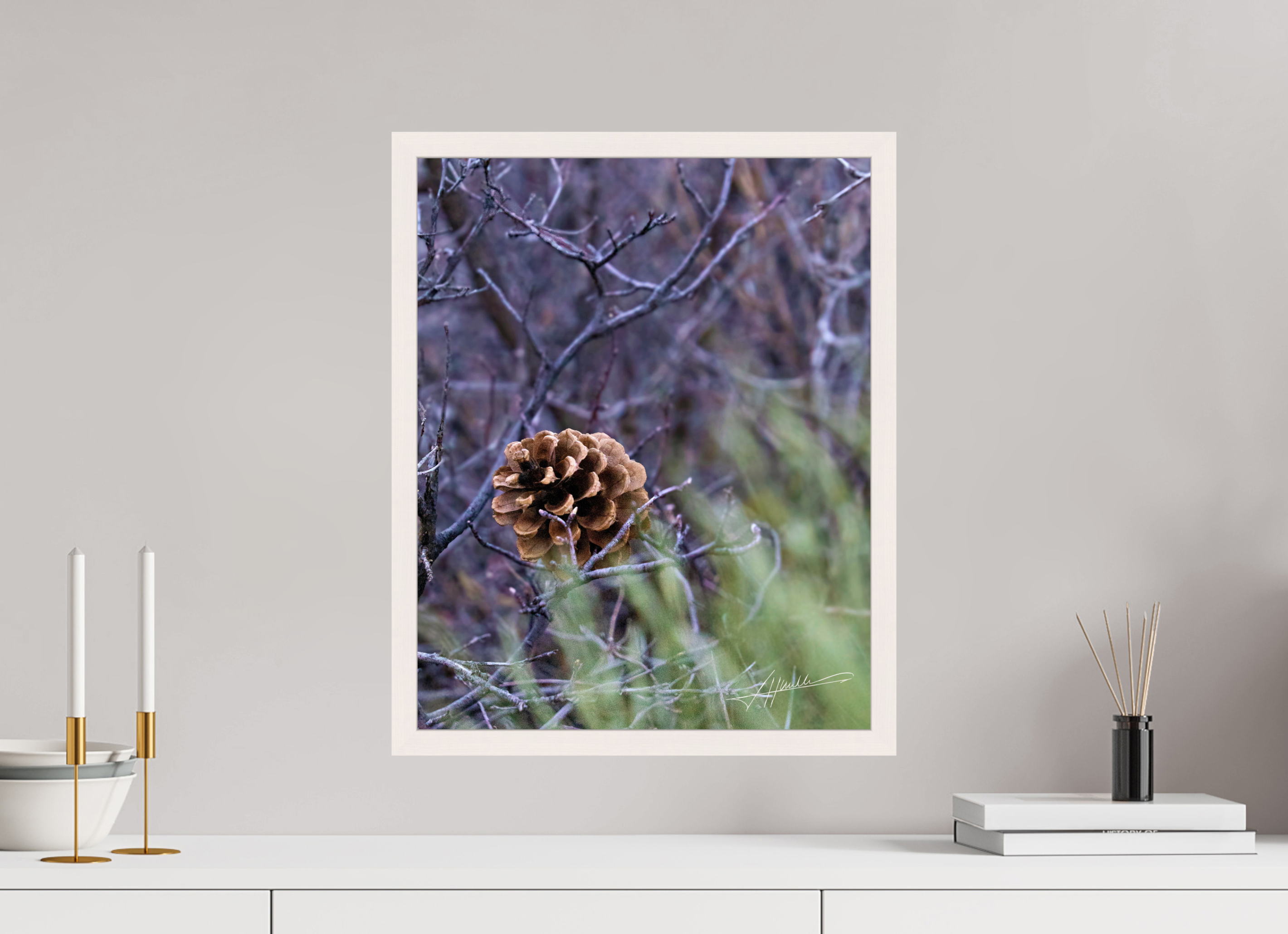 16 x 20″, Gallery Frame Mountain Pinecone