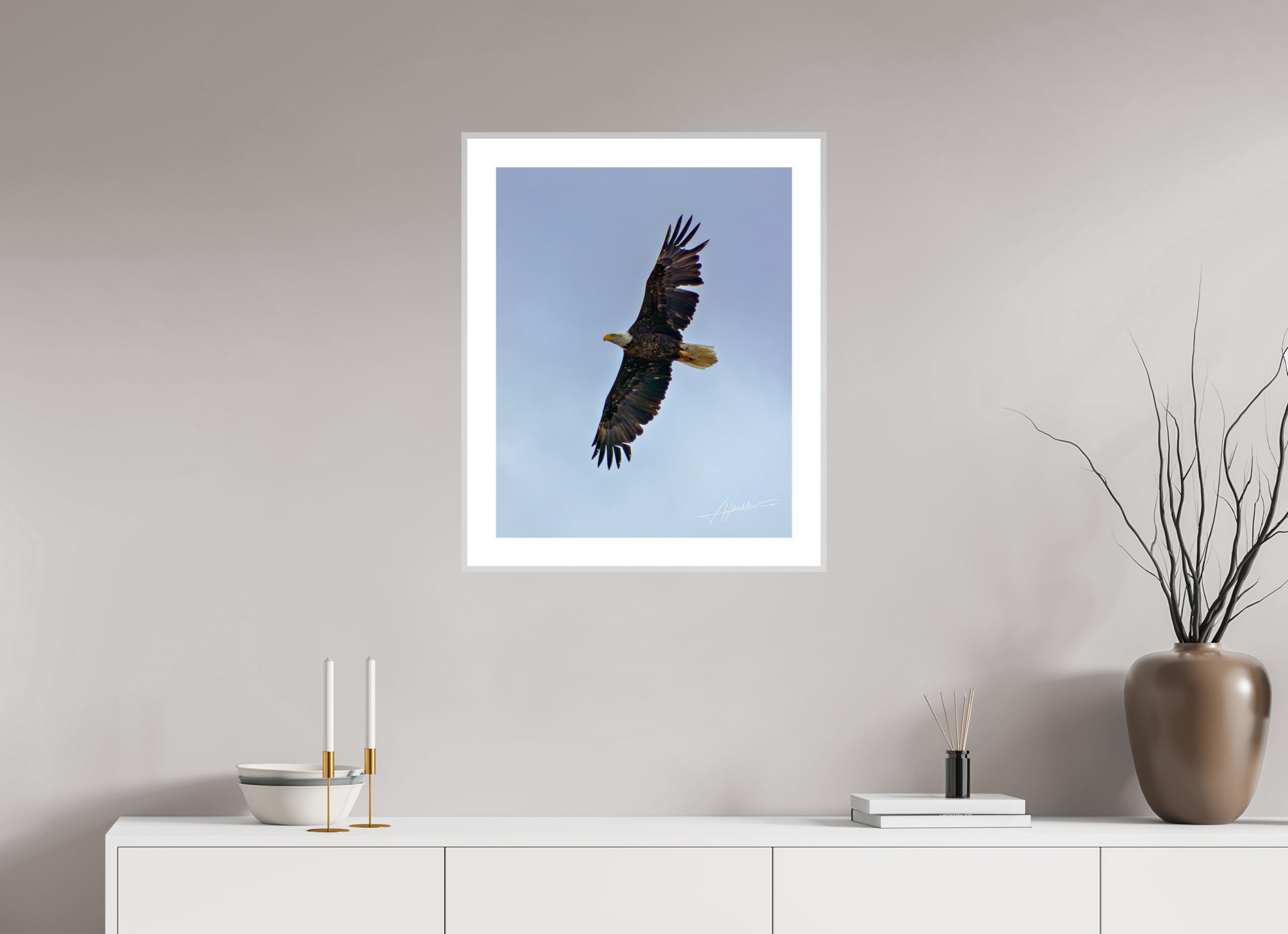 20 x 25″, Changeable Magnetic Frame Wings Spread