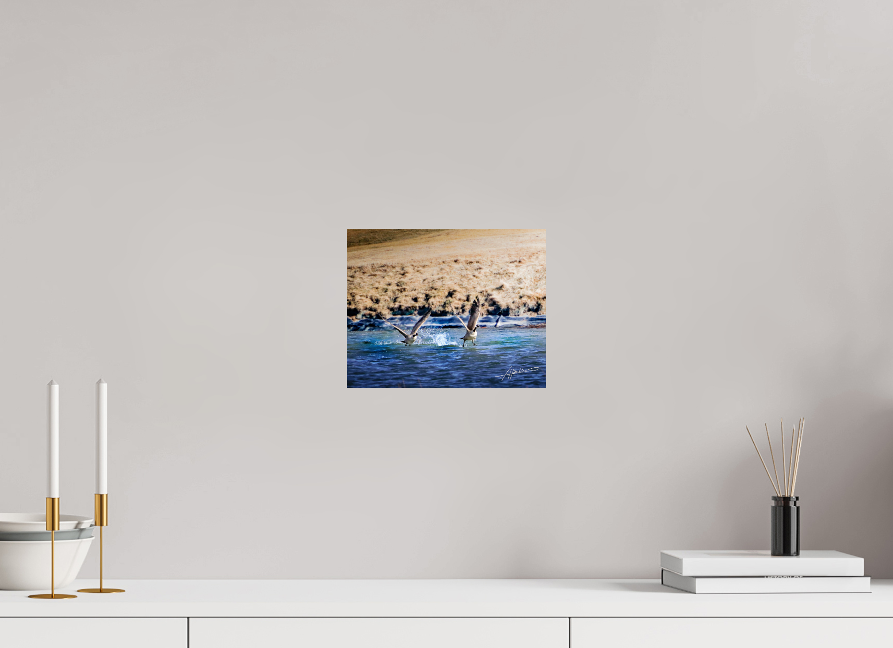 10 x 8″, Metallic Photo Print On Fuji Crystal Pearl Geese Taking Flight